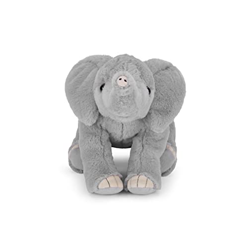 National Geographic Peluche e figurine Elefante africano 25 cm