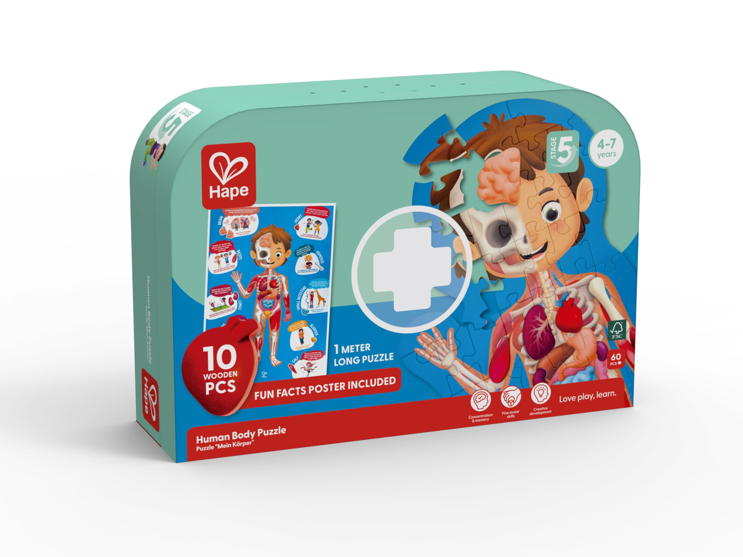 Hape Puzzle Corpo umano puzzle 50 pezzi 100x50 cm