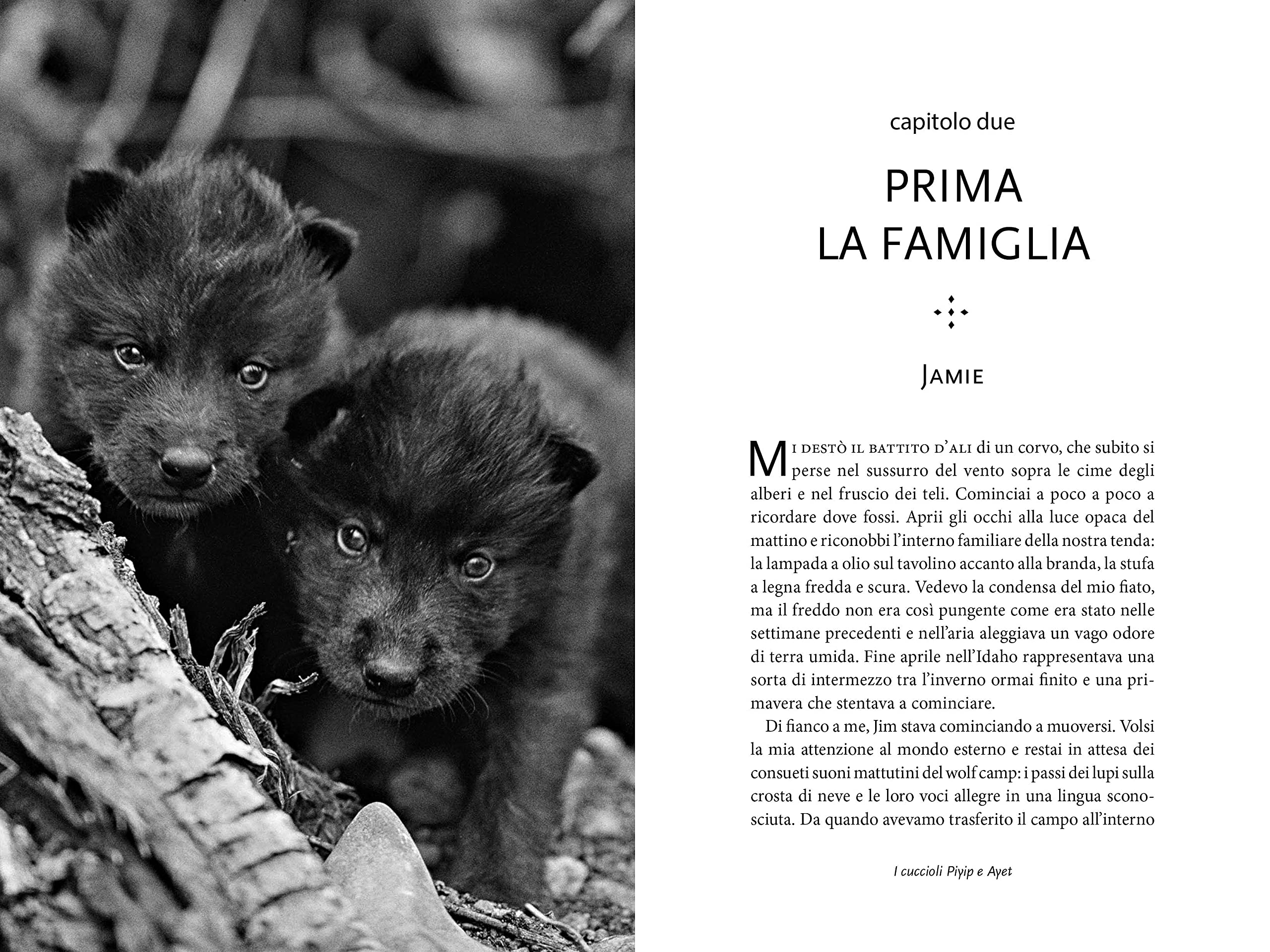 National Geographic Lupi Storie di saggezza libro illustrato