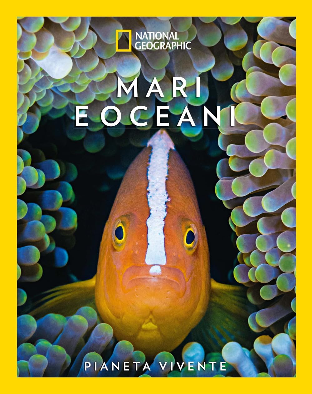 National Geographic Kids – Libri Mari e oceani. Pianeta vivente. Ediz. a colori libro