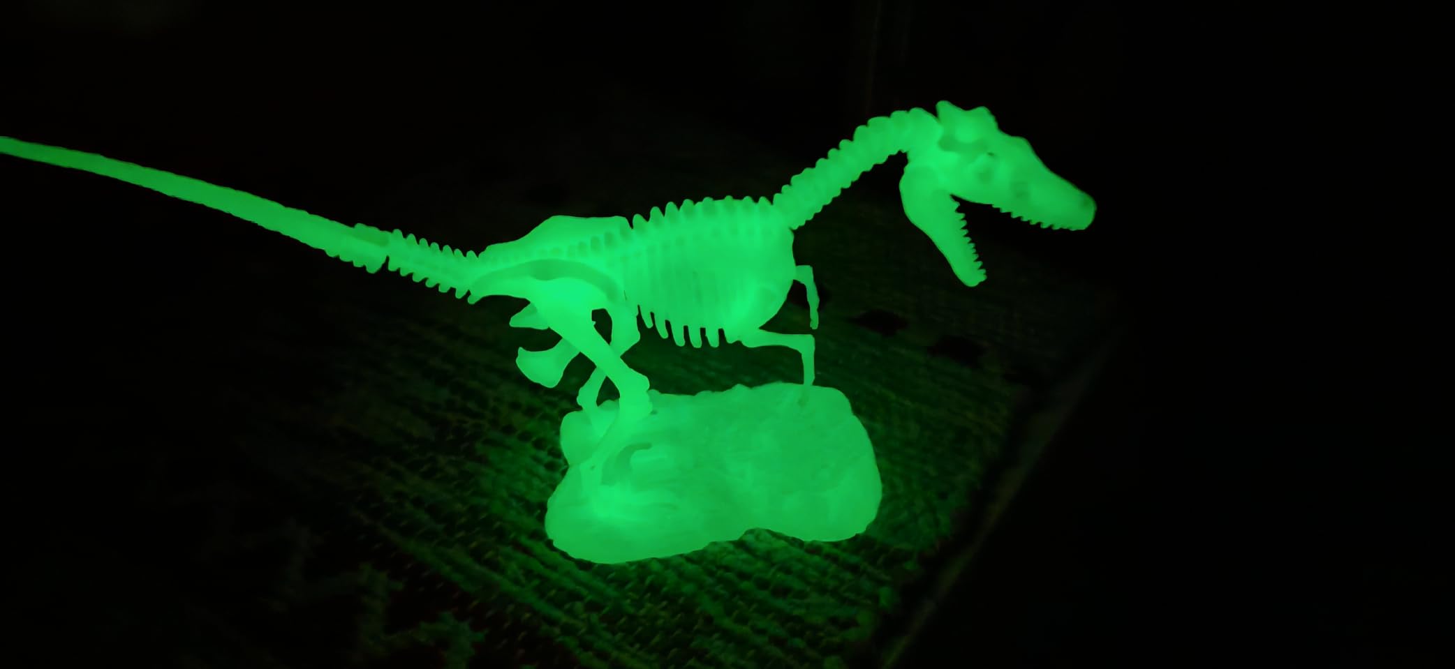 National Geographic Kit scientifici e di scoperta Scheletri Dinosauri Glow in the Dark kit fosforescente