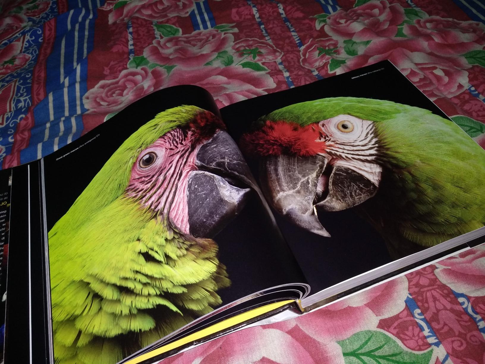 National Geographic – Libri The Photo Ark libro fotografico sugli animali