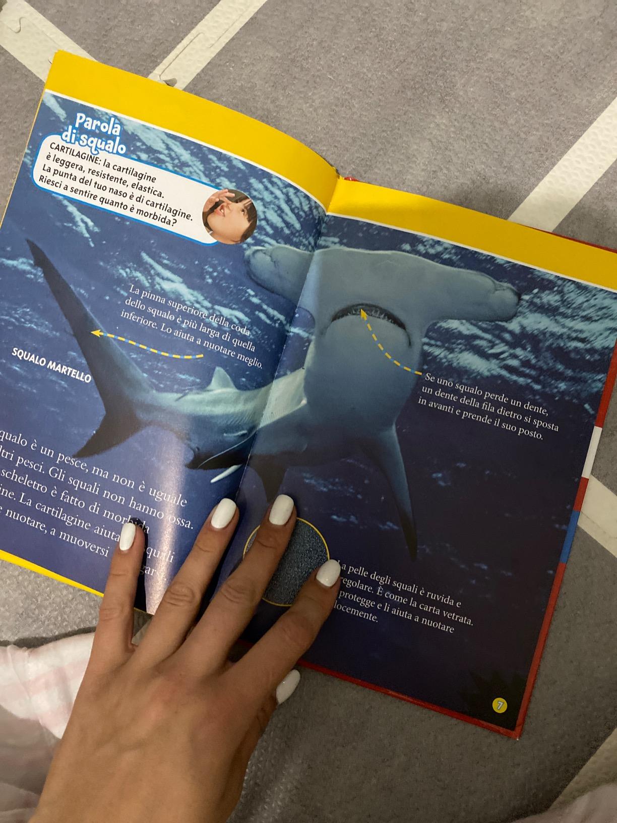 National Geographic Kids – Libri Squali. Livello 3 libro a colori