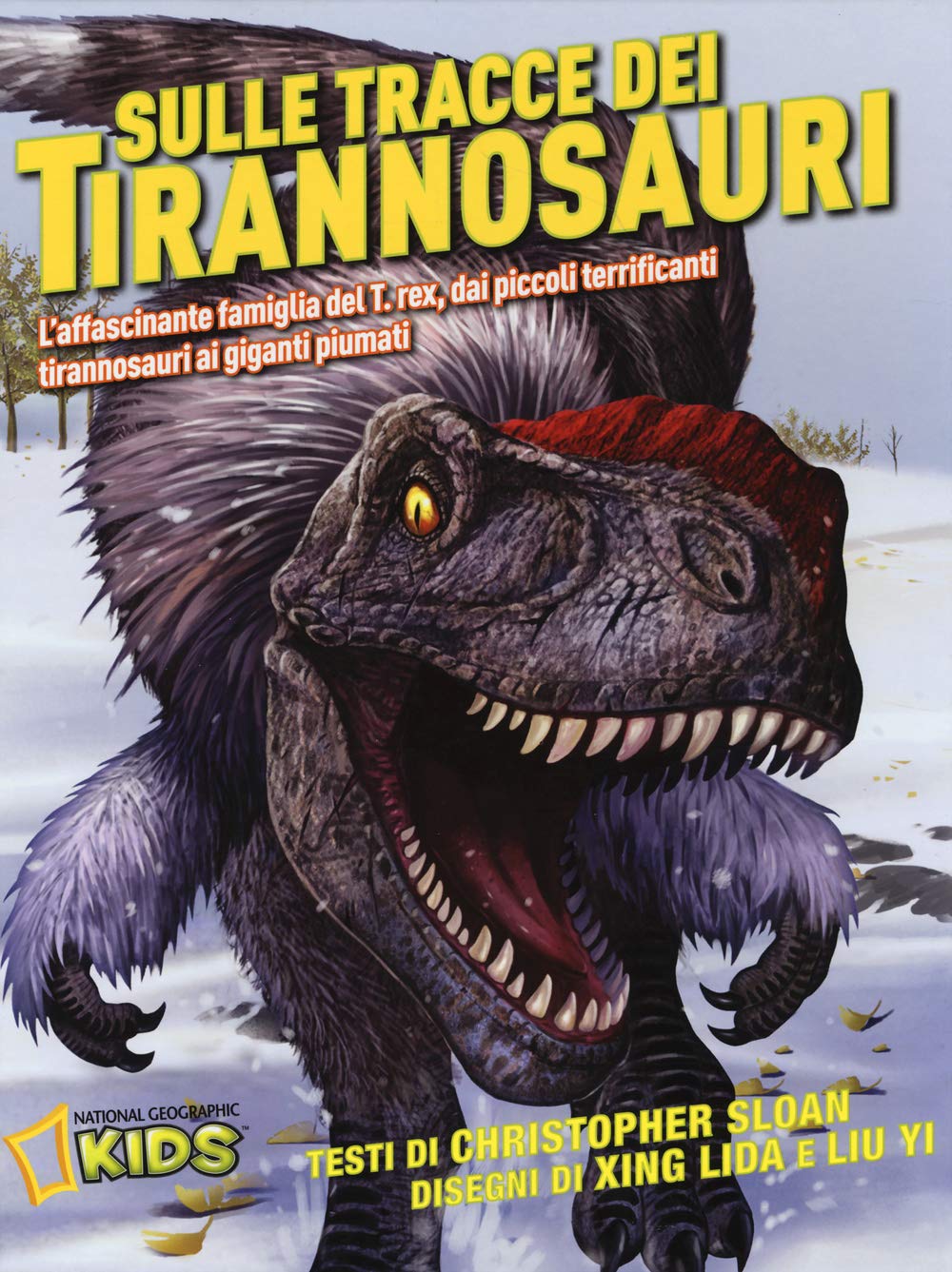 National Geographic Kids – Libri Sulle tracce dei dinosauri libro