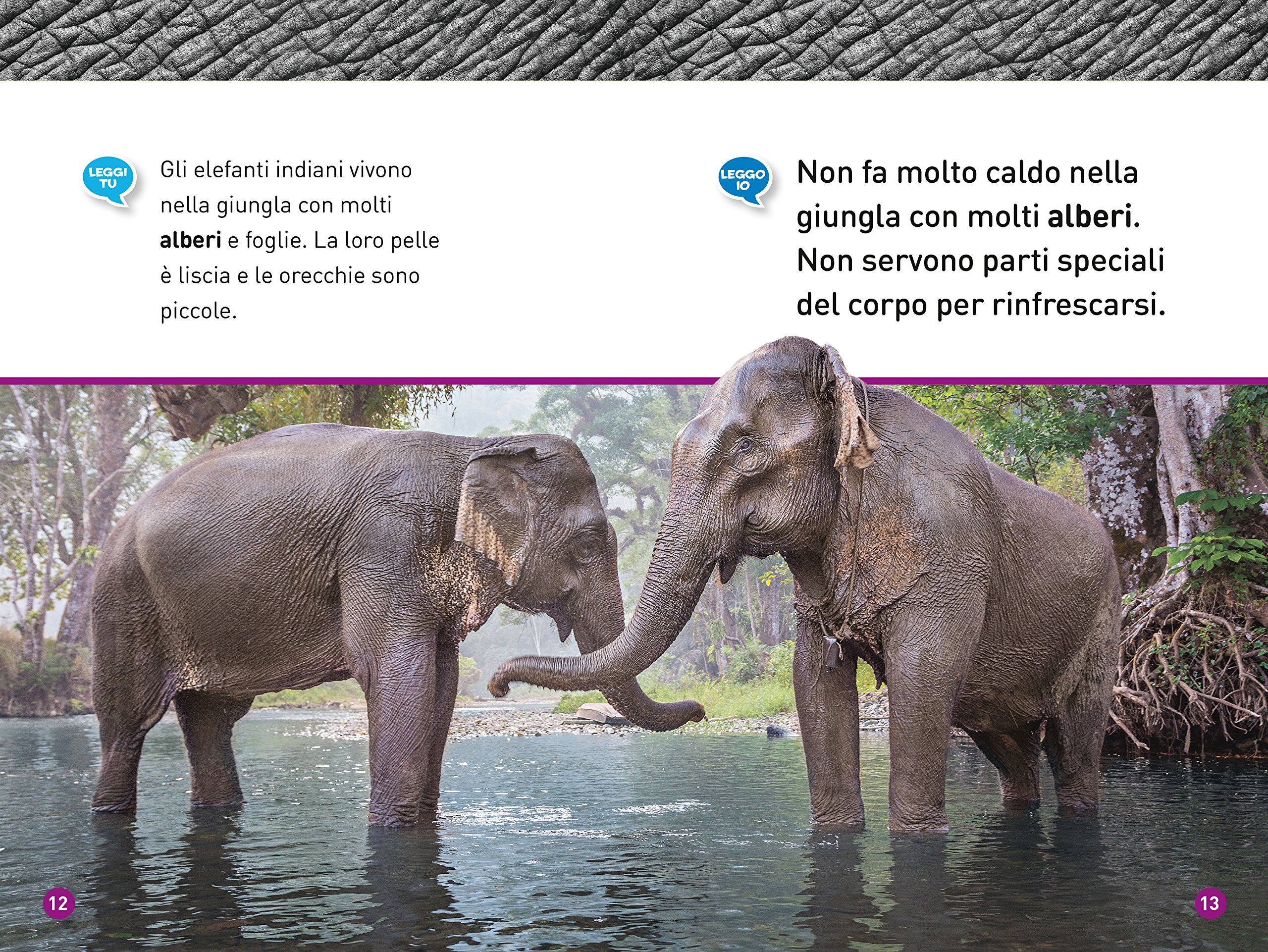 National Geographic Kids – Libri Elefanti. Livello 1. Ediz. a colori libro