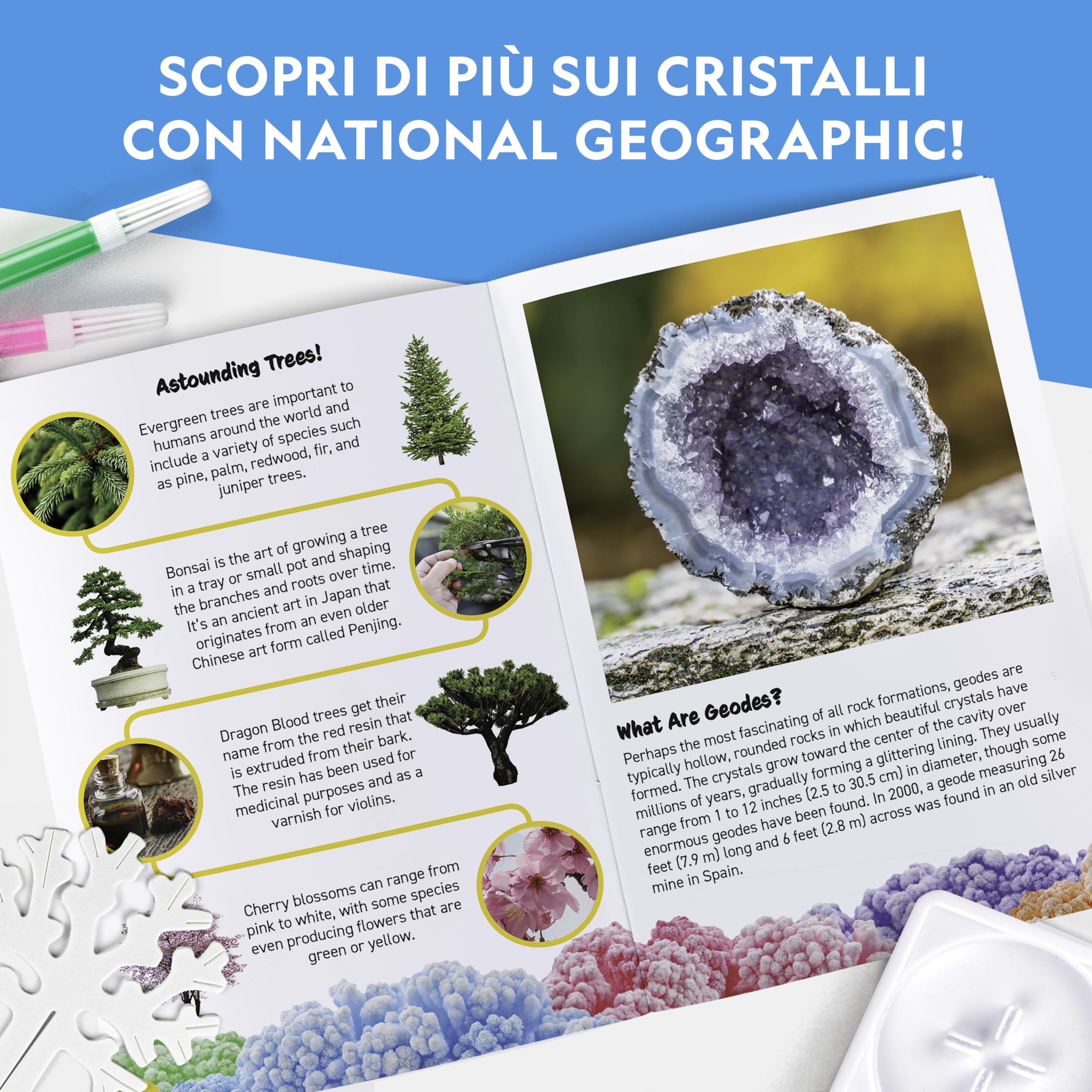 National Geographic Kit scientifici e di scoperta Kit Creativo per Coltivare 6 Alberi di Cristallo