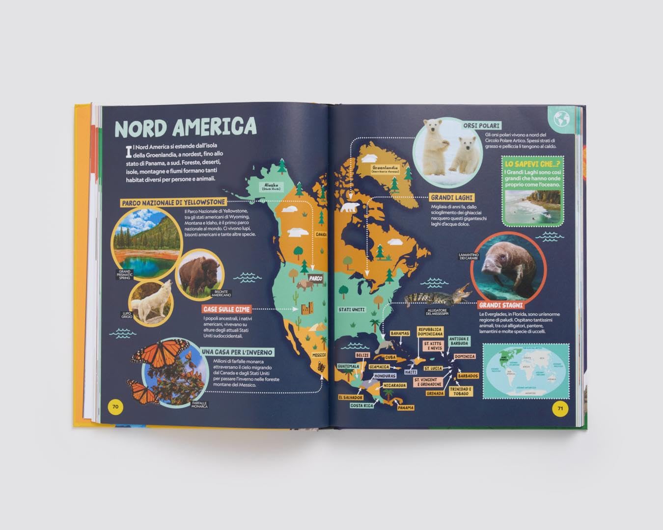 National Geographic Kids – Libri La mia prima grande enciclopedia. Ediz. a colori libro