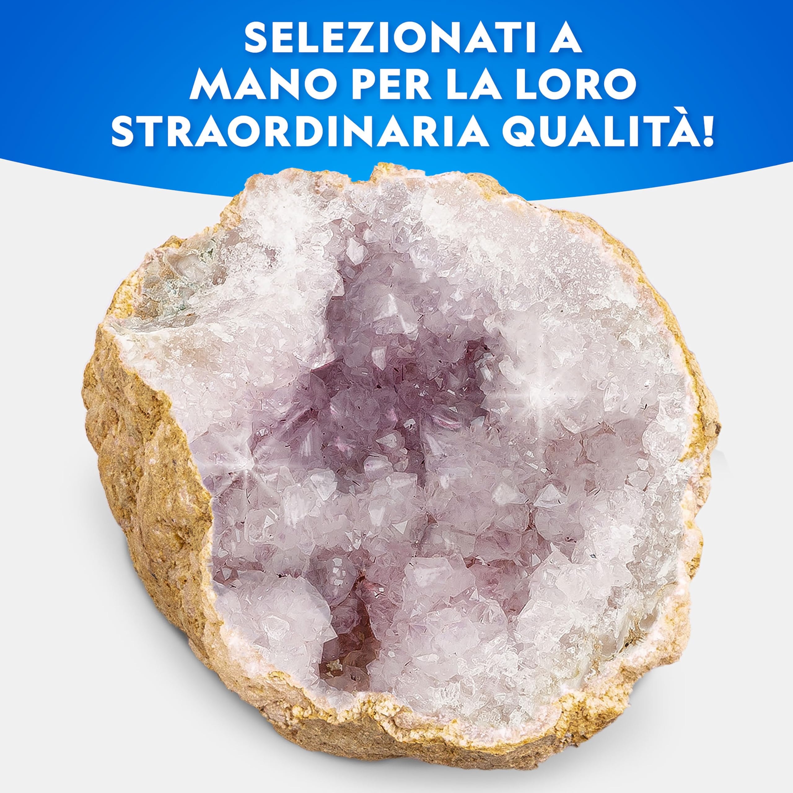 National Geographic Kit scientifici e di scoperta Kit Geode Gigante 10,9–13 cm
