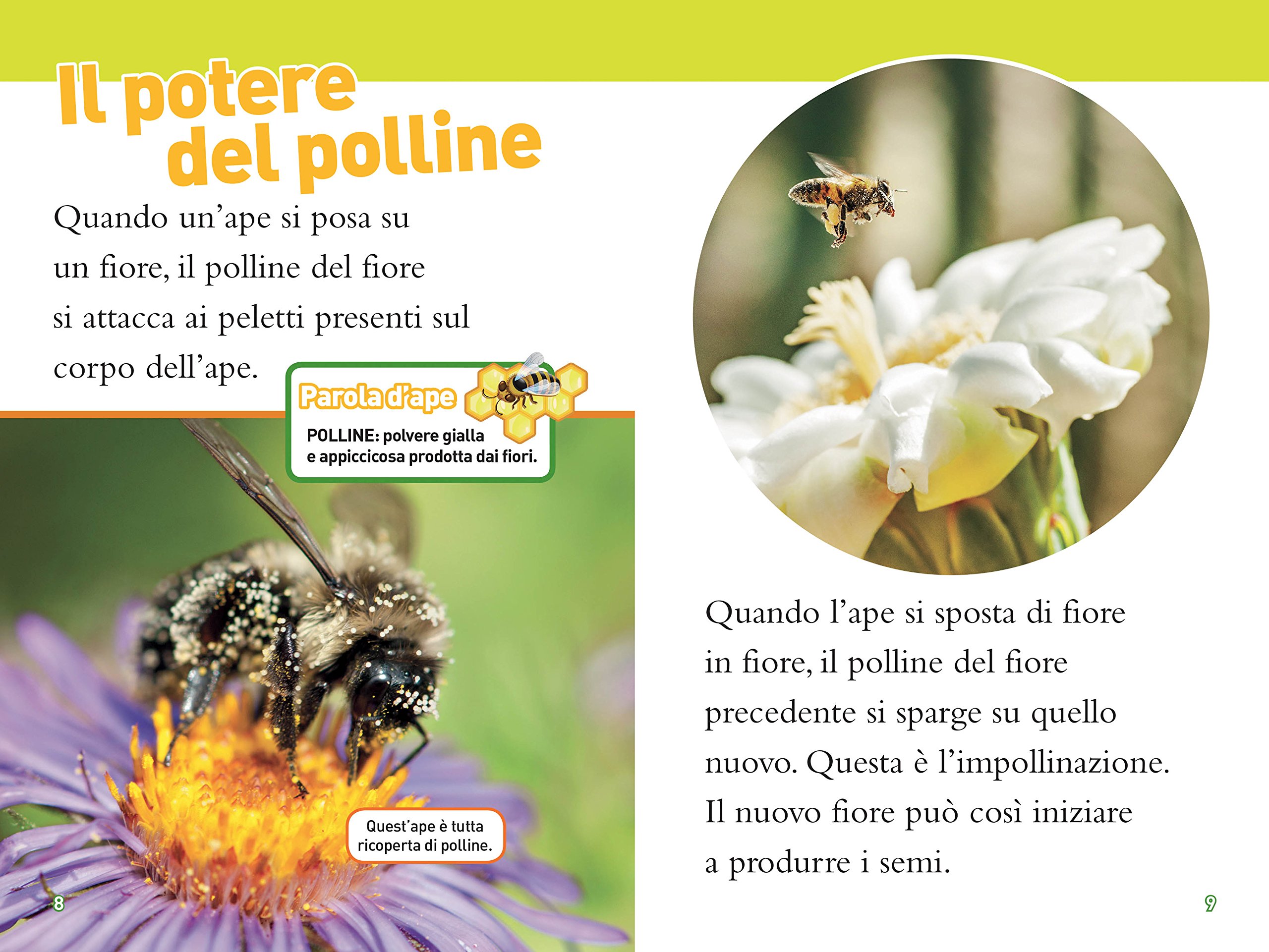 National Geographic Kids – Libri Api. Livello 3. Ediz. a colori