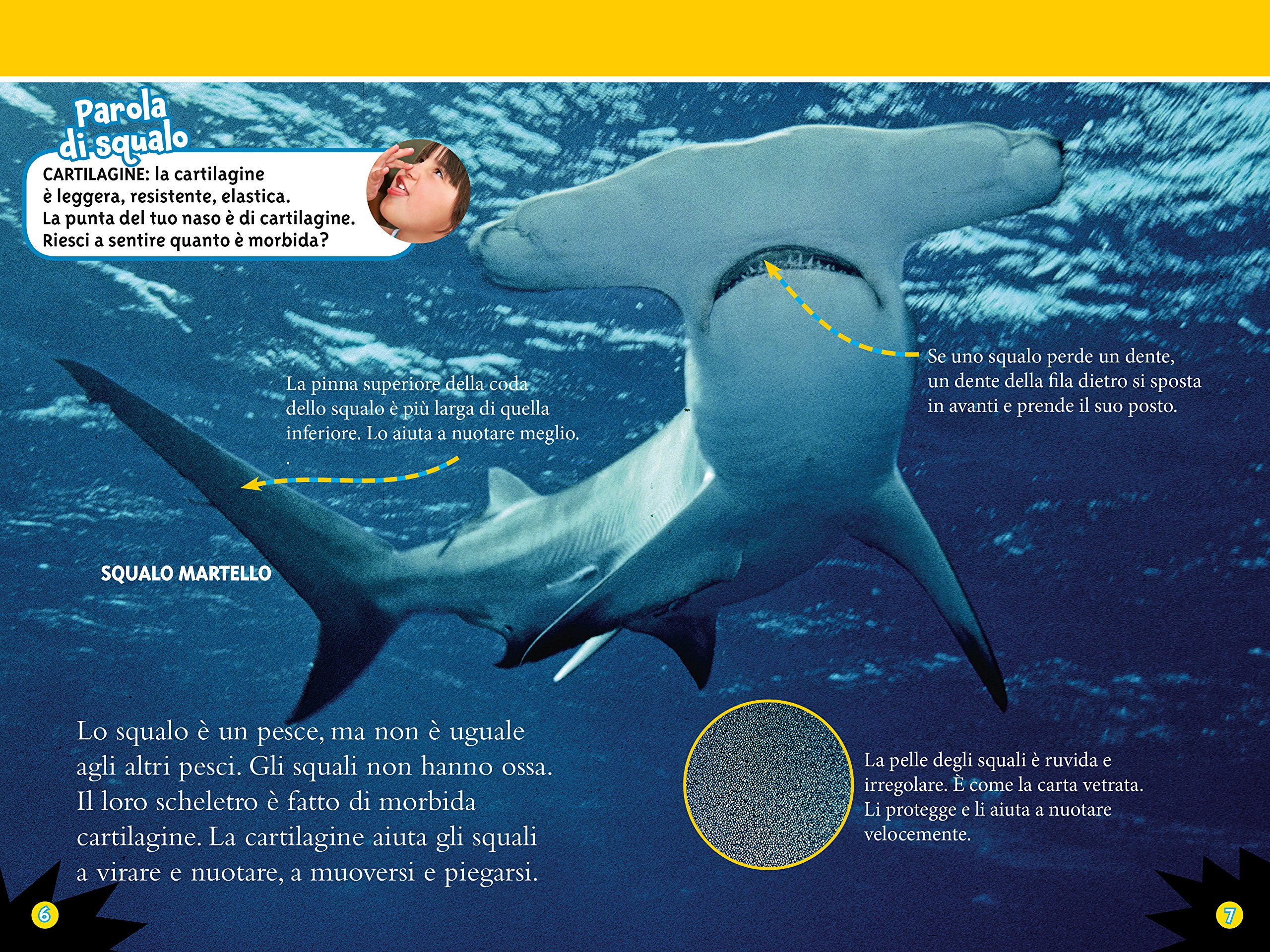 National Geographic Kids – Libri Squali. Livello 3 libro a colori