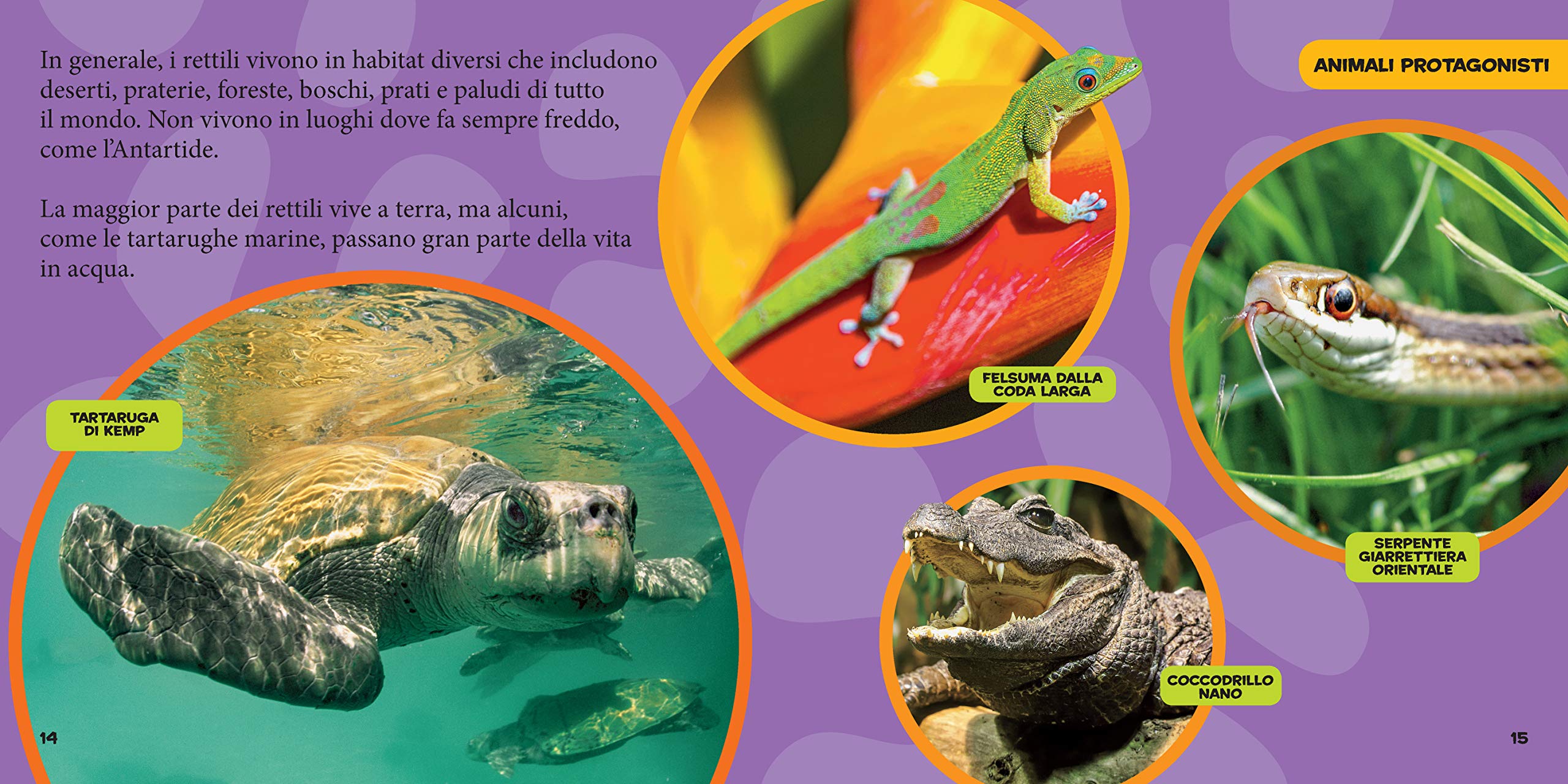 National Geographic Kids – Libri Il primo grande libro dei rettili e degli anfibi
