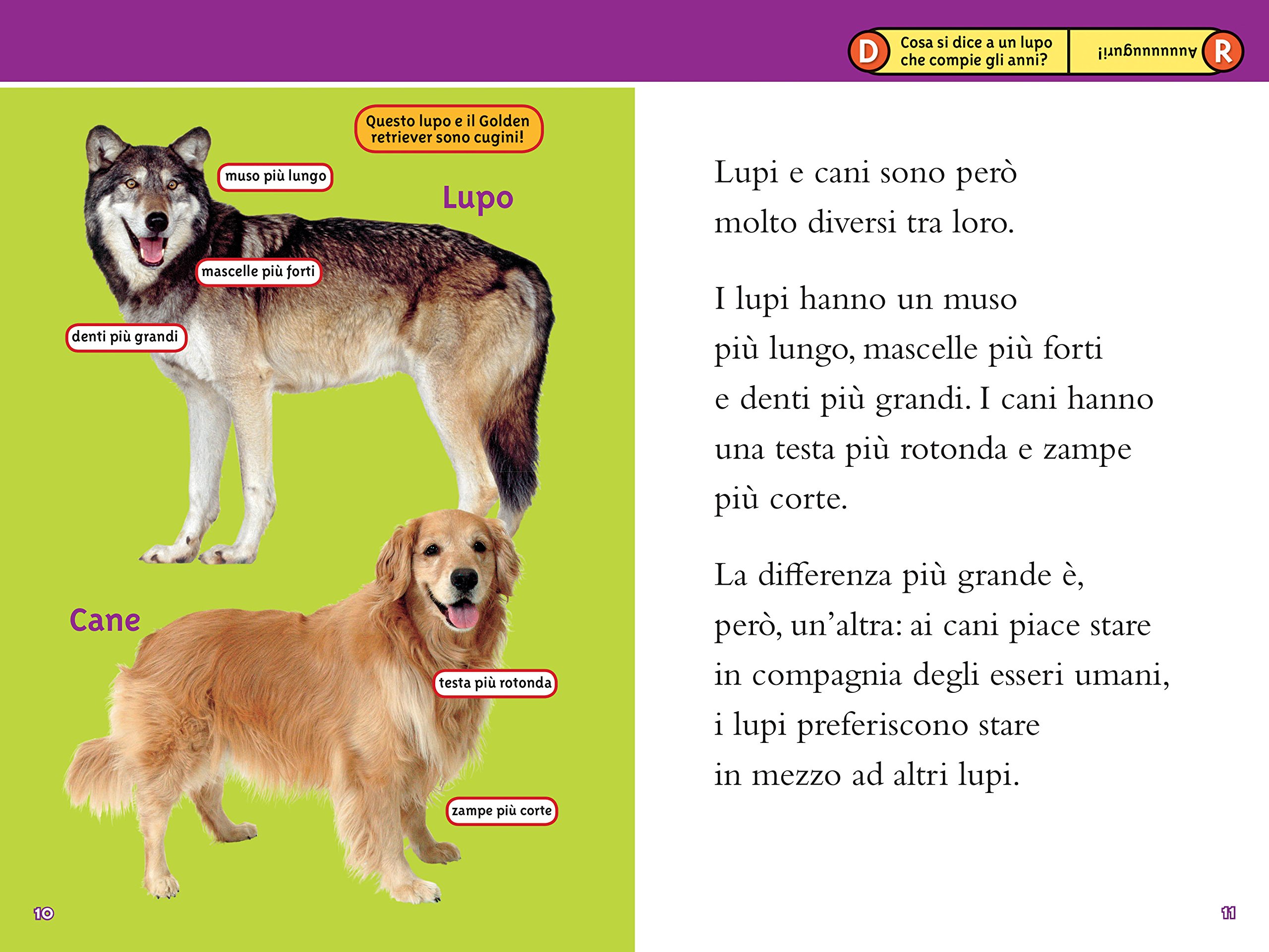 National Geographic Kids – Libri Lupi. Livello 3. Ediz. a colori libro illustrato