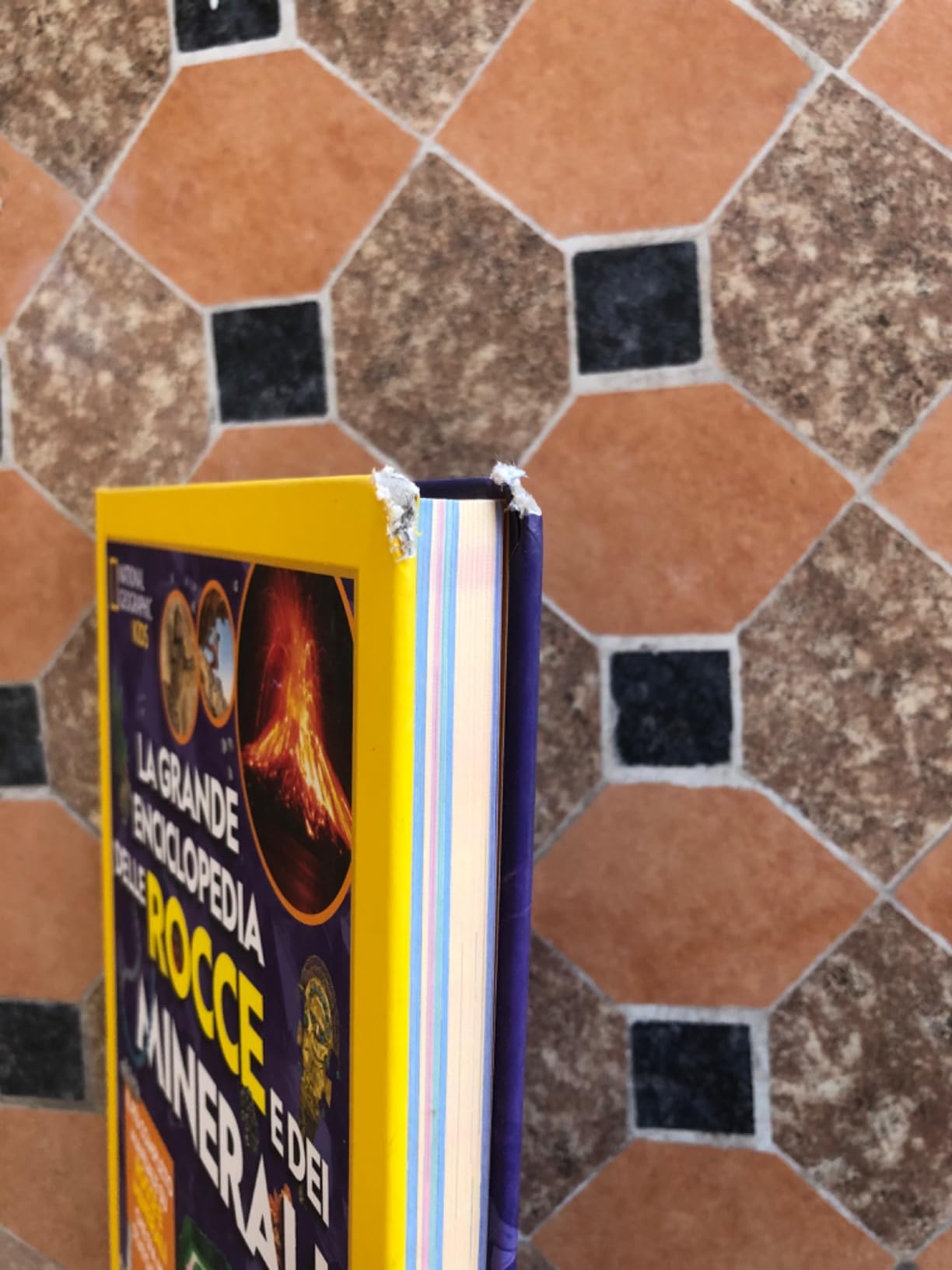 National Geographic Kids – Libri La grande enciclopedia delle rocce e dei minerali libro
