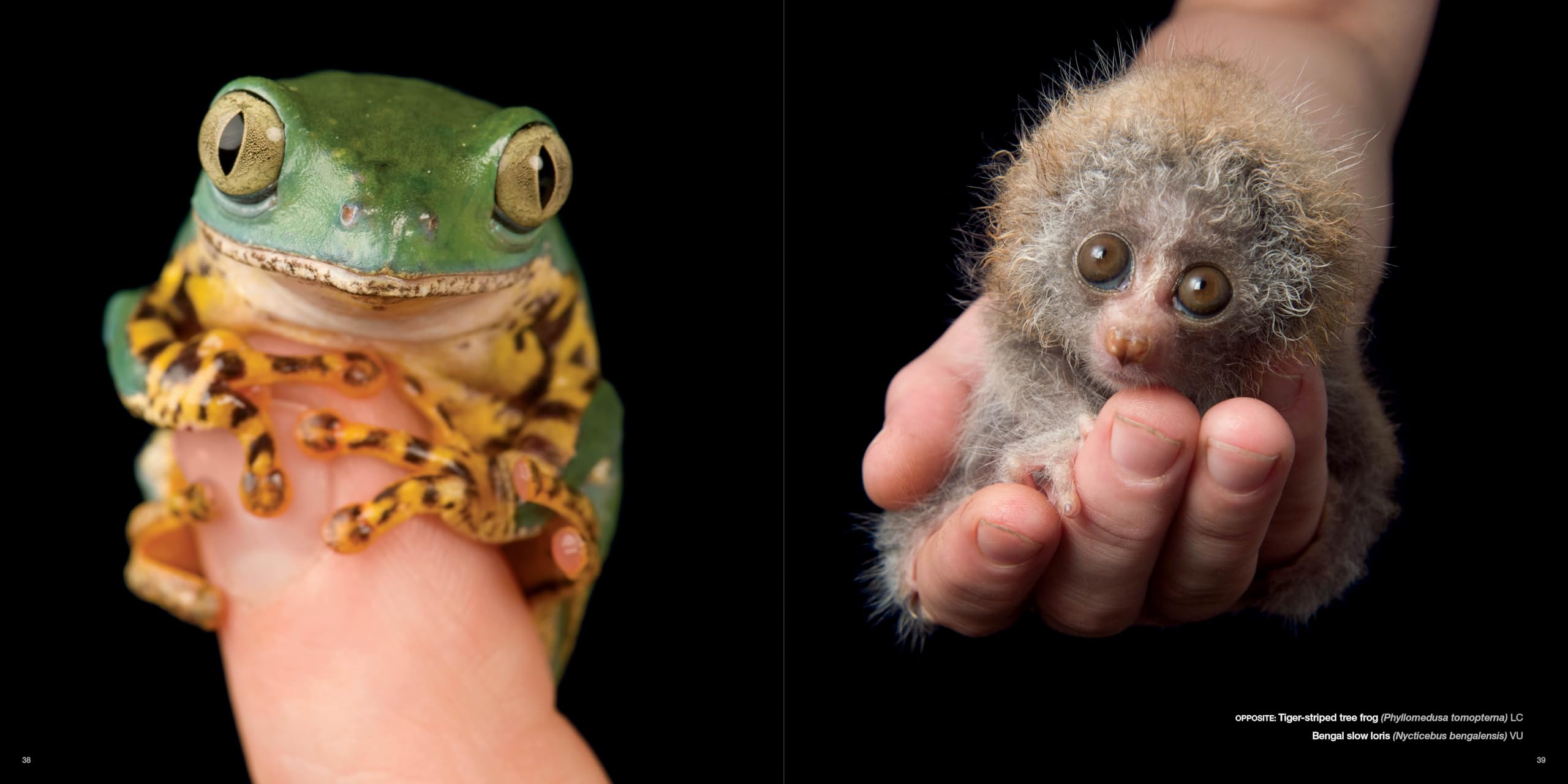 National Geographic – Libri The Photo Ark libro fotografico sugli animali