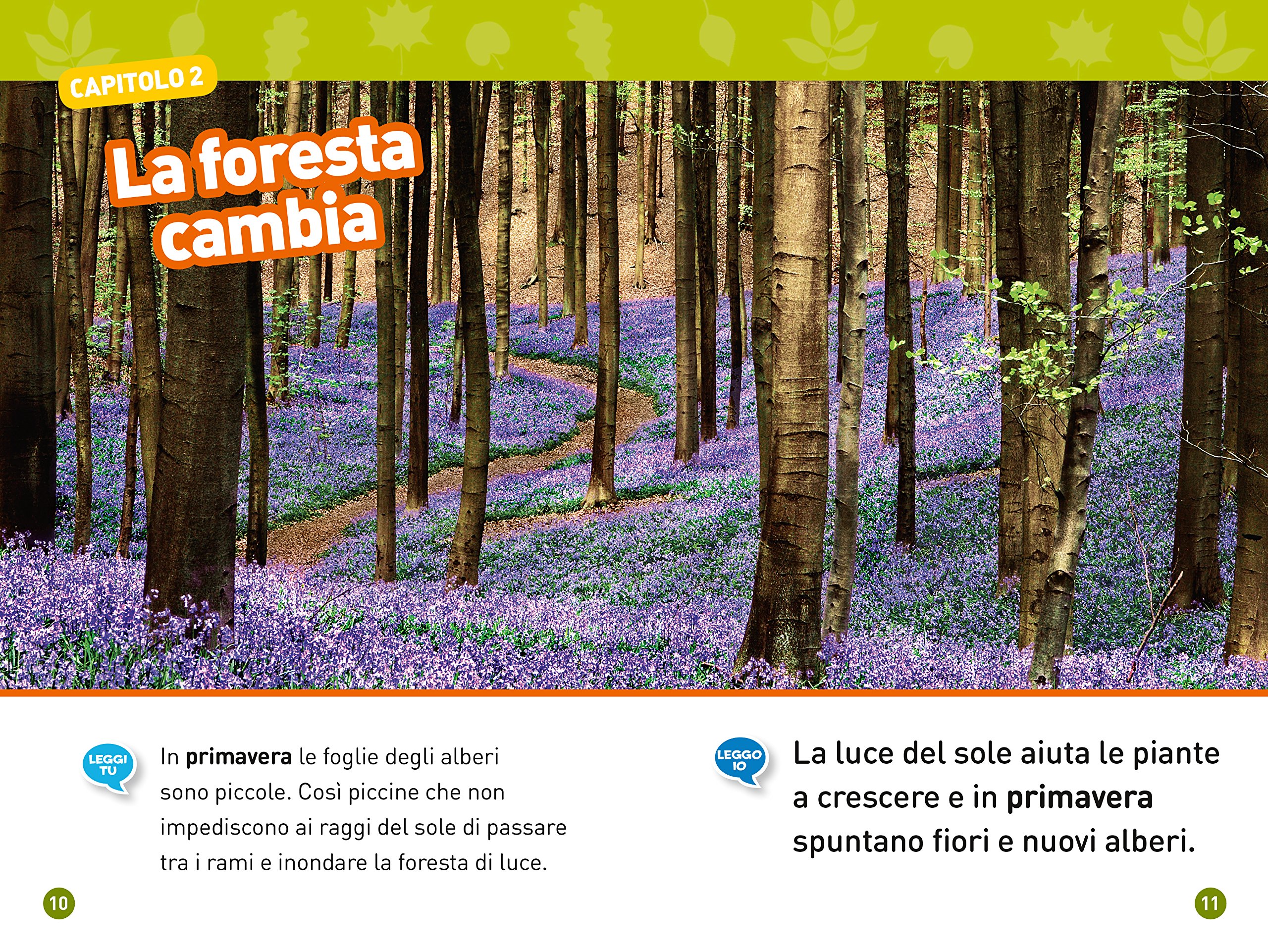 National Geographic Kids Nella foresta Livello 1 libro per bambini