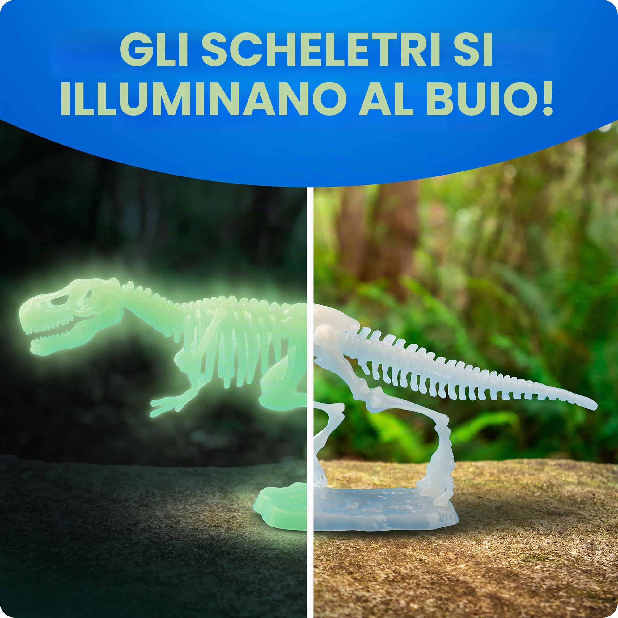 National Geographic Kit scientifici e di scoperta Scheletri Dinosauri Glow in the Dark kit fosforescente