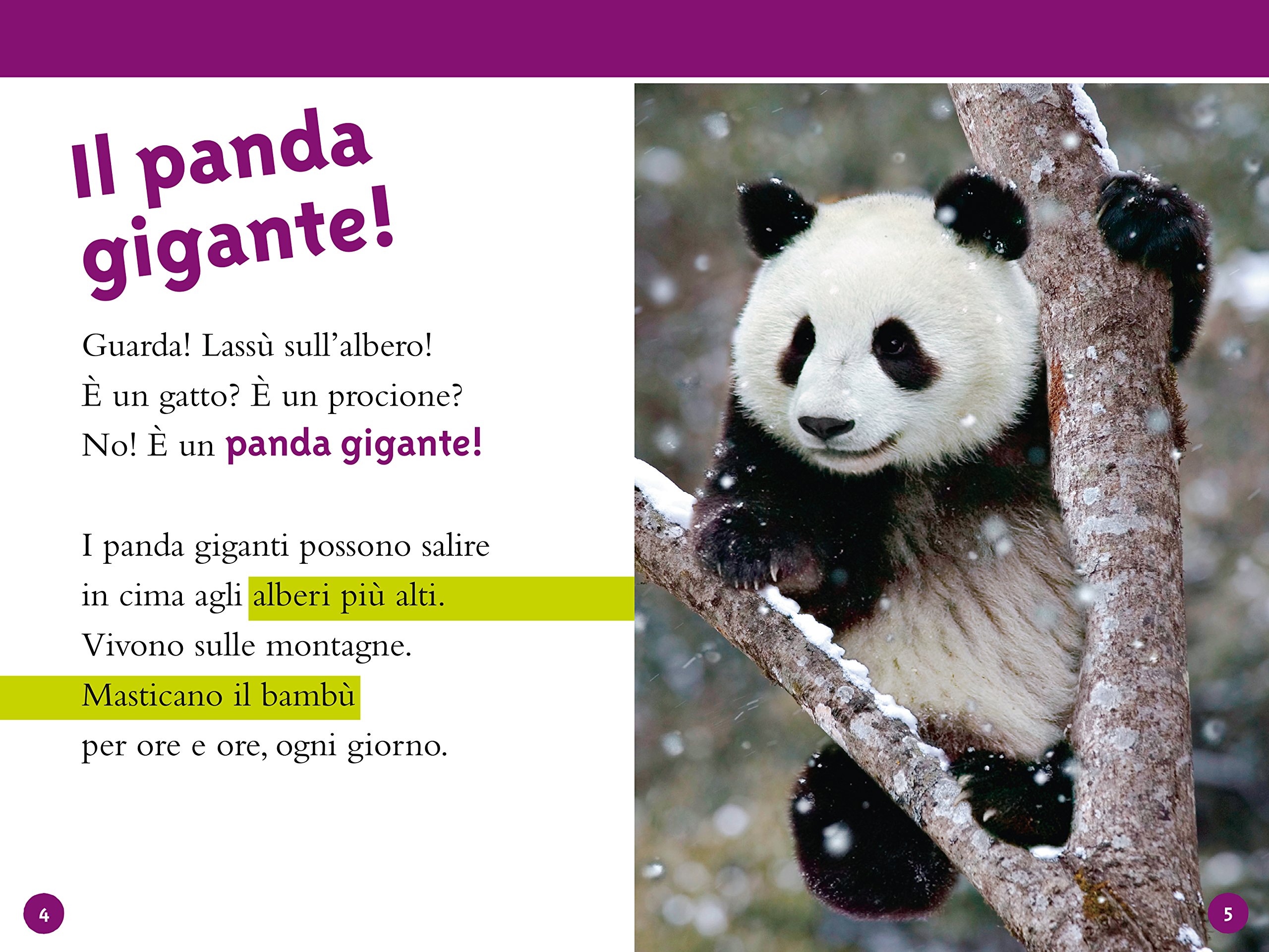 National Geographic Kids – Libri Panda. Livello 3. Ediz. a colori libro