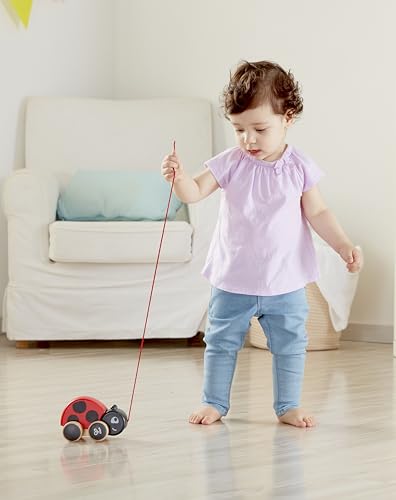 Hape Spingi e cammina Coccinella Spingi&Tira gioco trainabile in legno dai 12 mesi