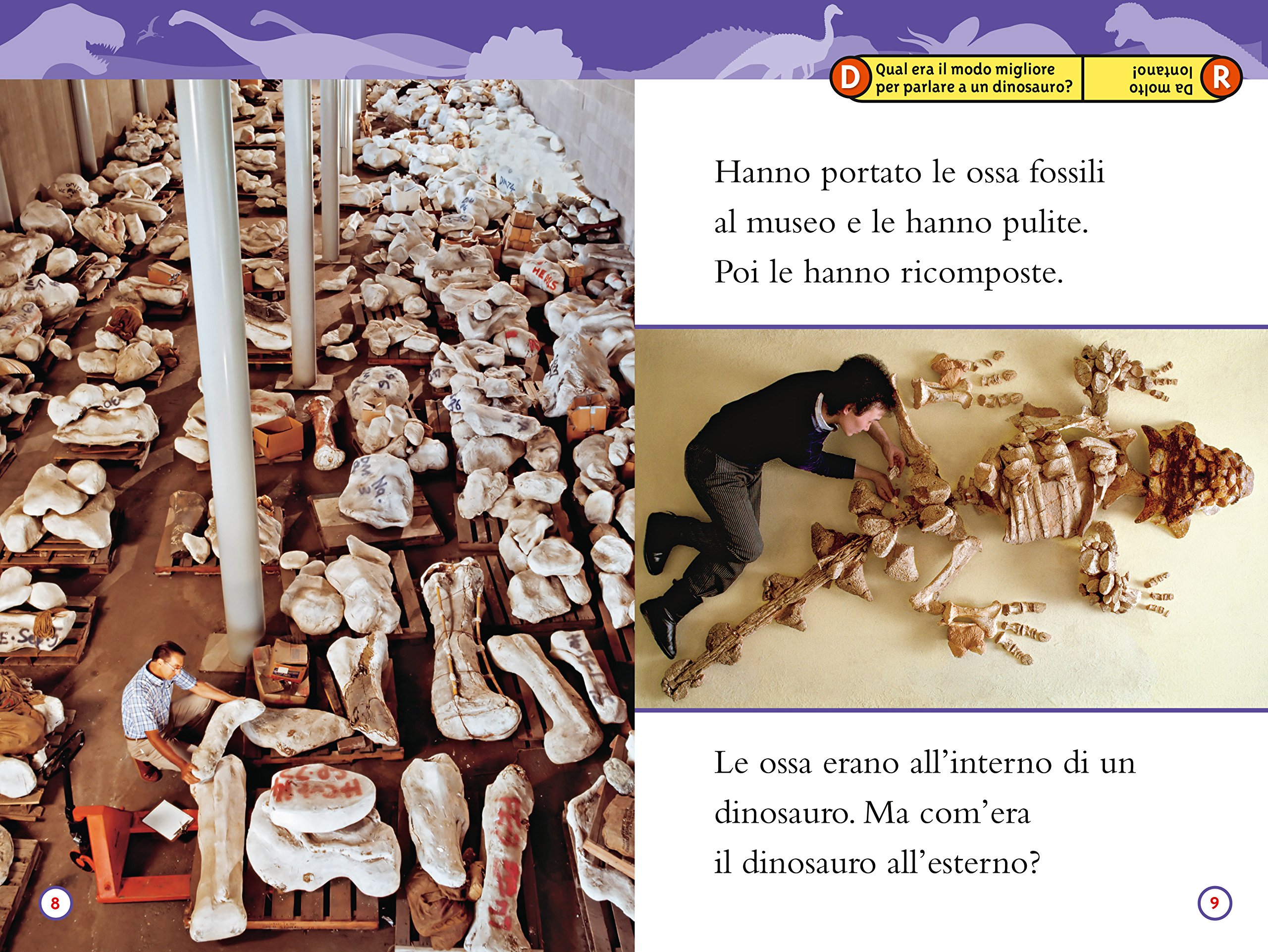 National Geographic Kids – Libri Dinosauri Livello 2 libro