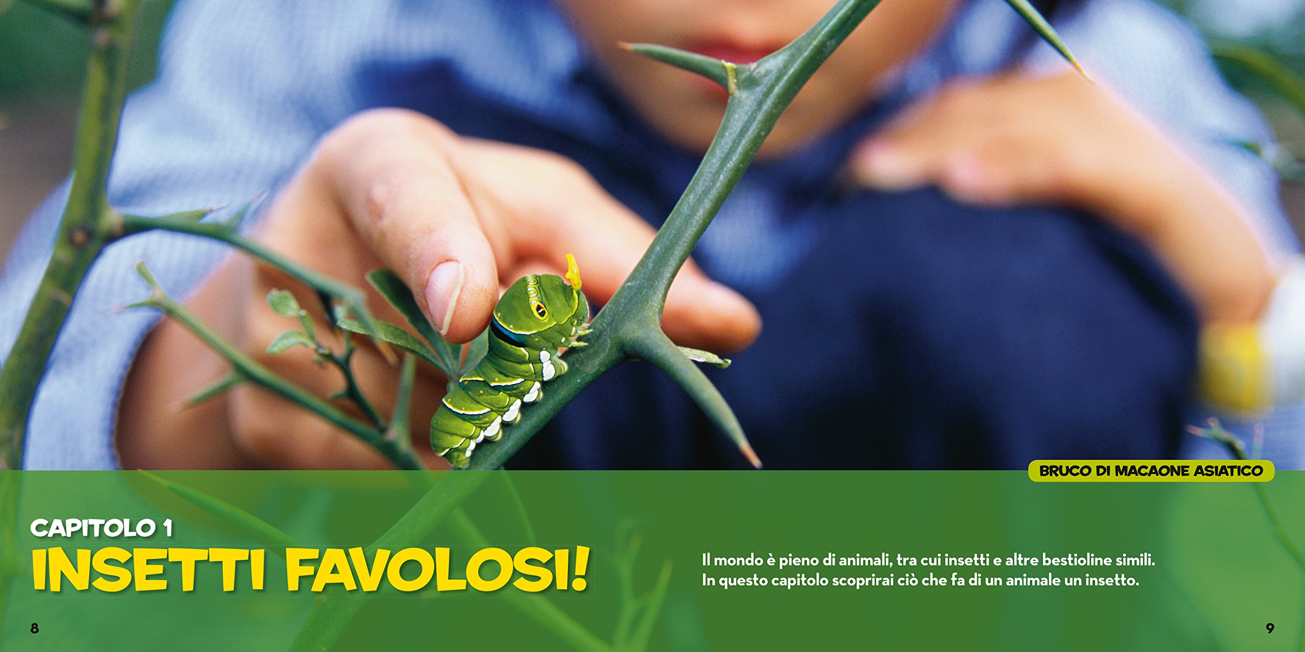 National Geographic Kids – Libri Il primo grande libro degli insetti libro a colori