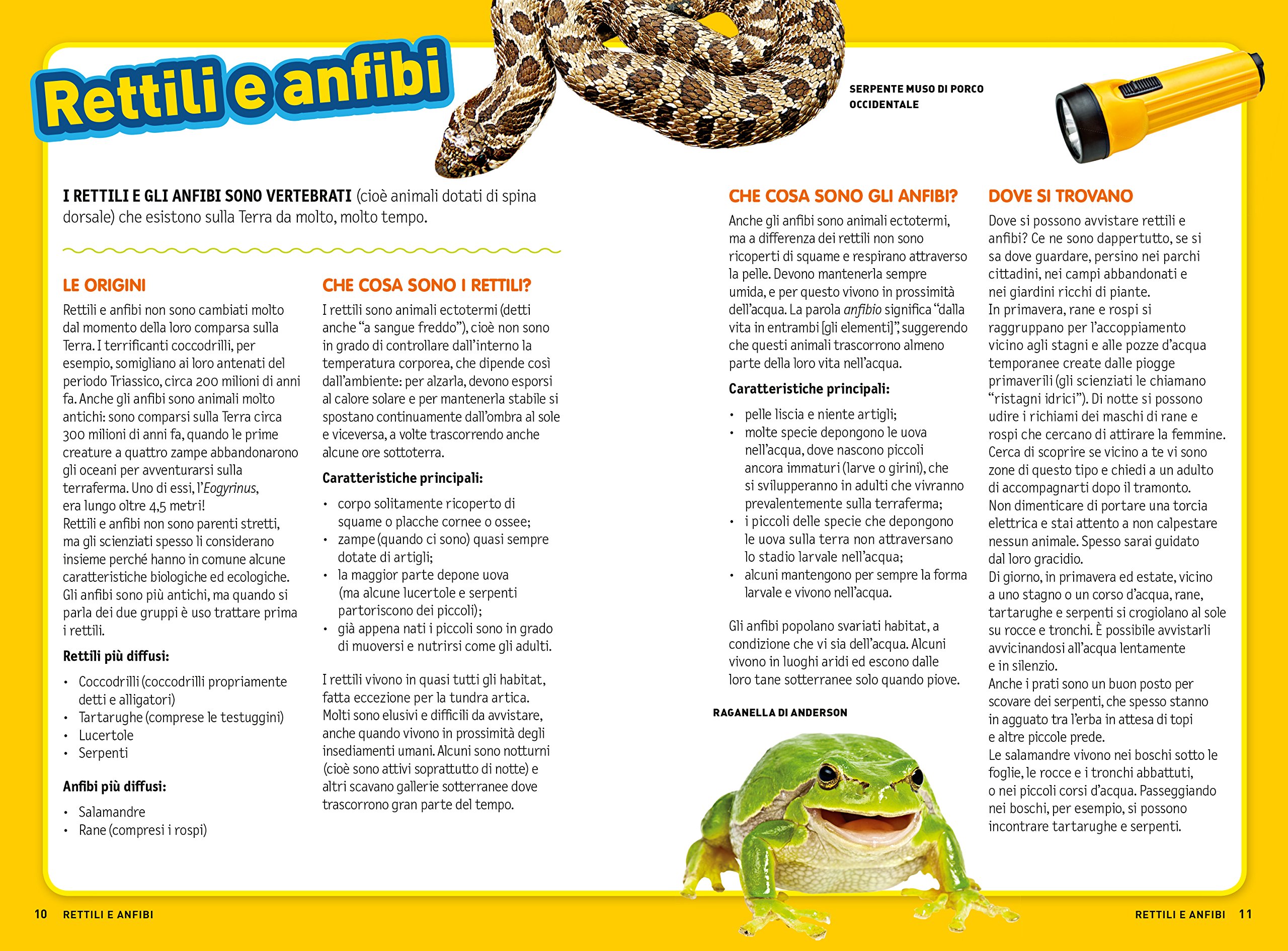 National Geographic National Geographic Kids – Libri Rettili e anfibi. Cerca l'avventura! Divertiti! Ediz. a colori libro