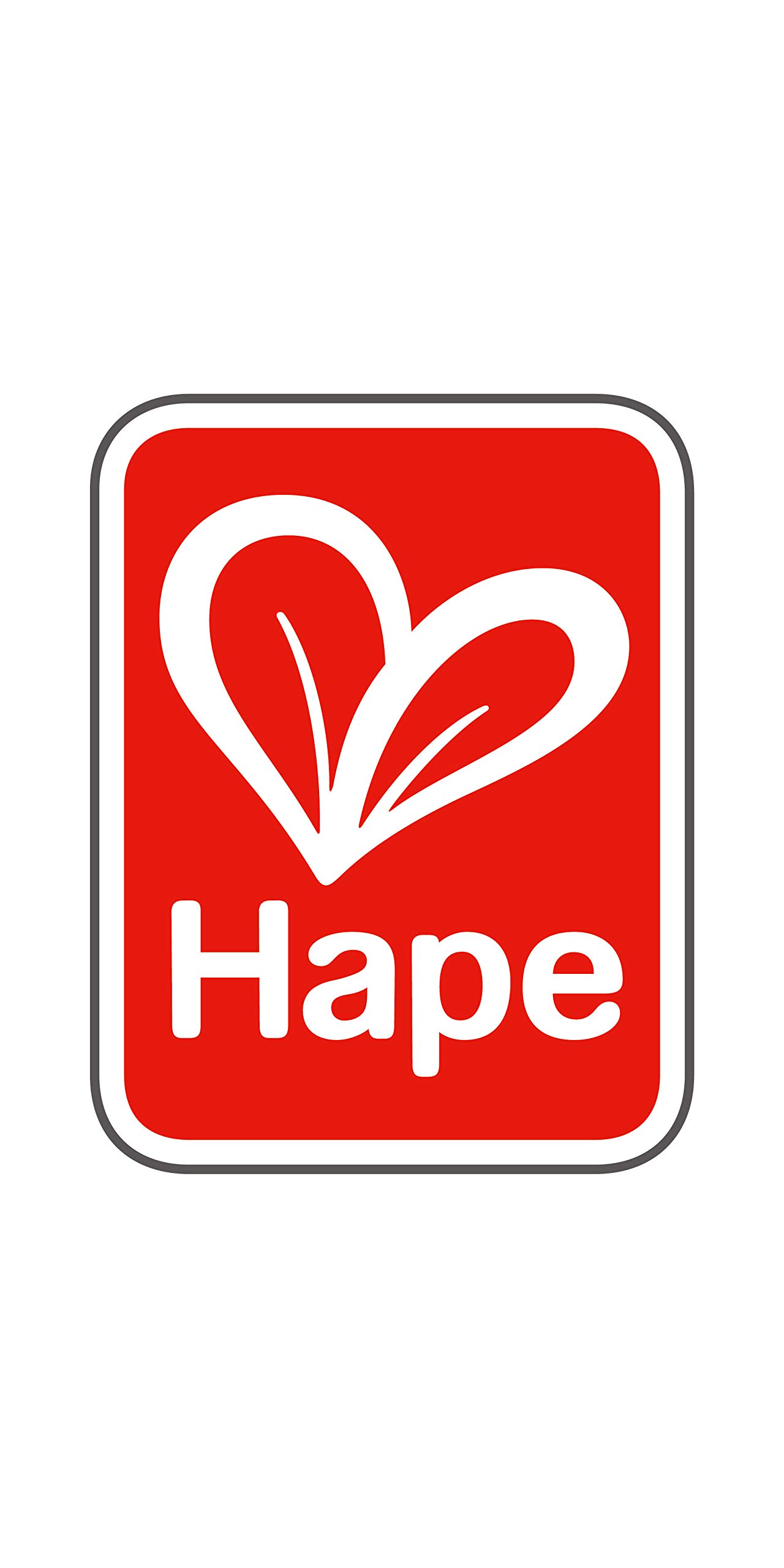 Hape Case delle bambole e accessori Bambola Figlio in legno con arti flessibili