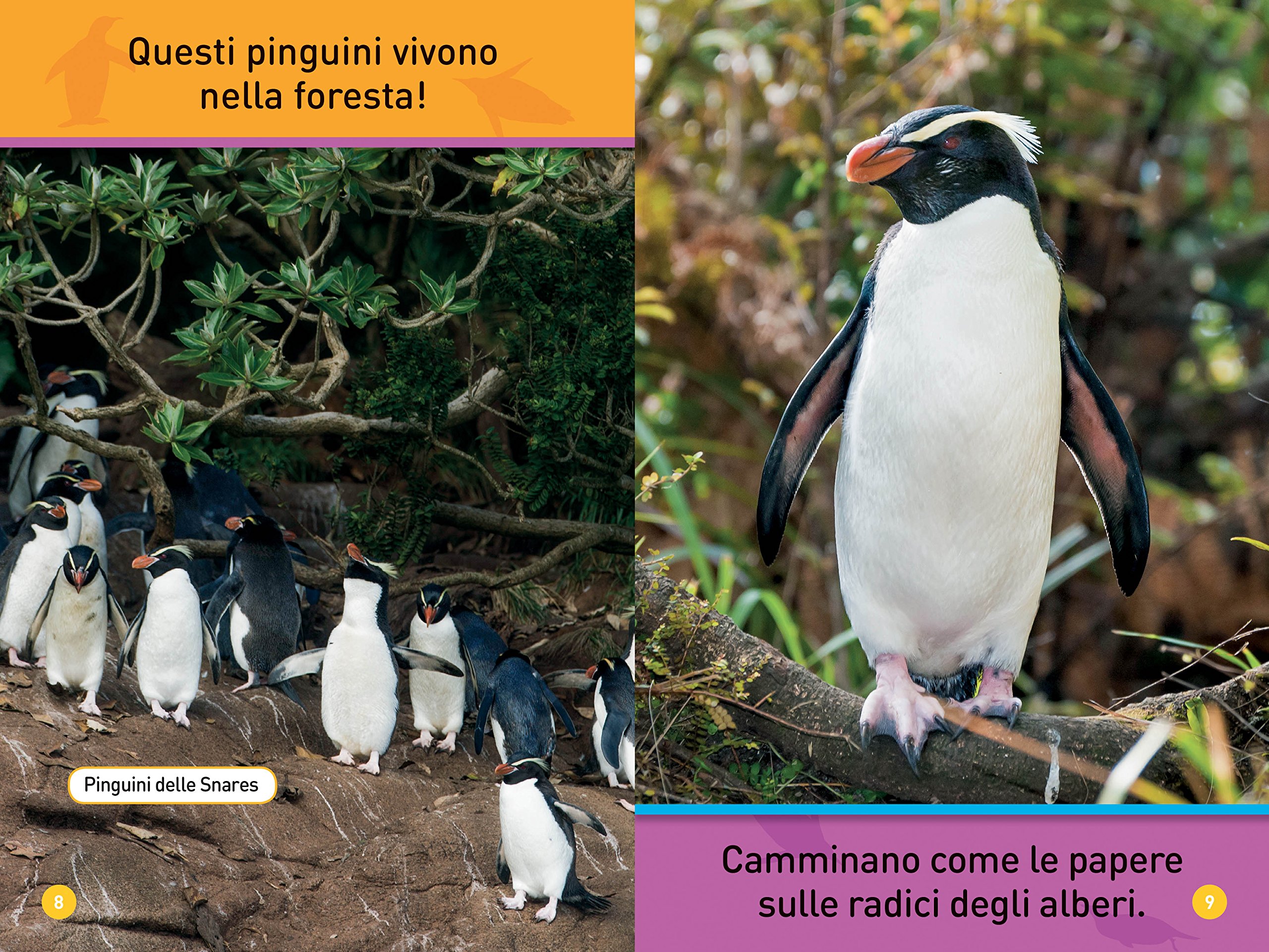 National Geographic Kids – Libri Il mio amico pinguino Primi passi libro
