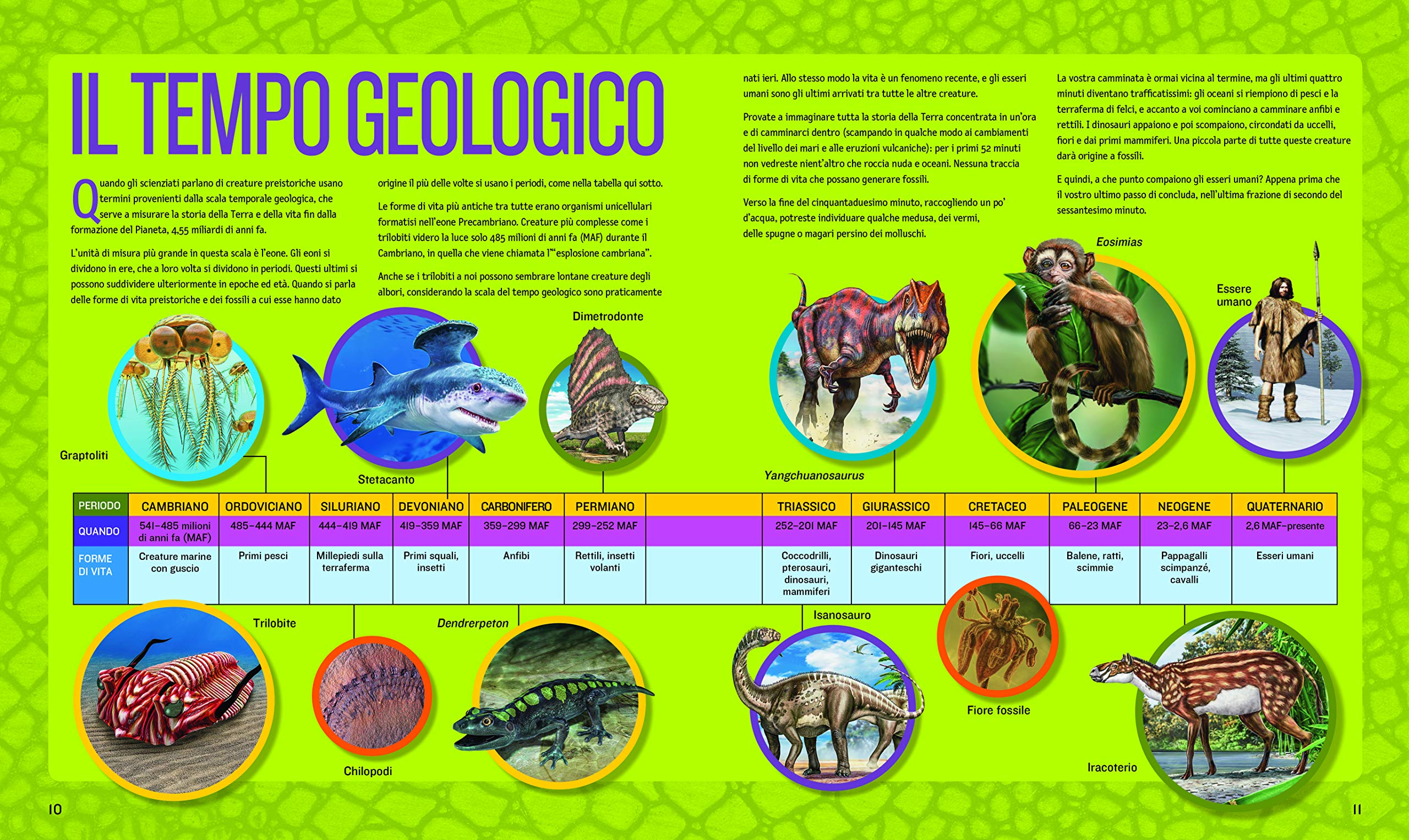 National Geographic Kids – Libri 1000 curiosità su dinosauri, fossili e vita preistorica libro