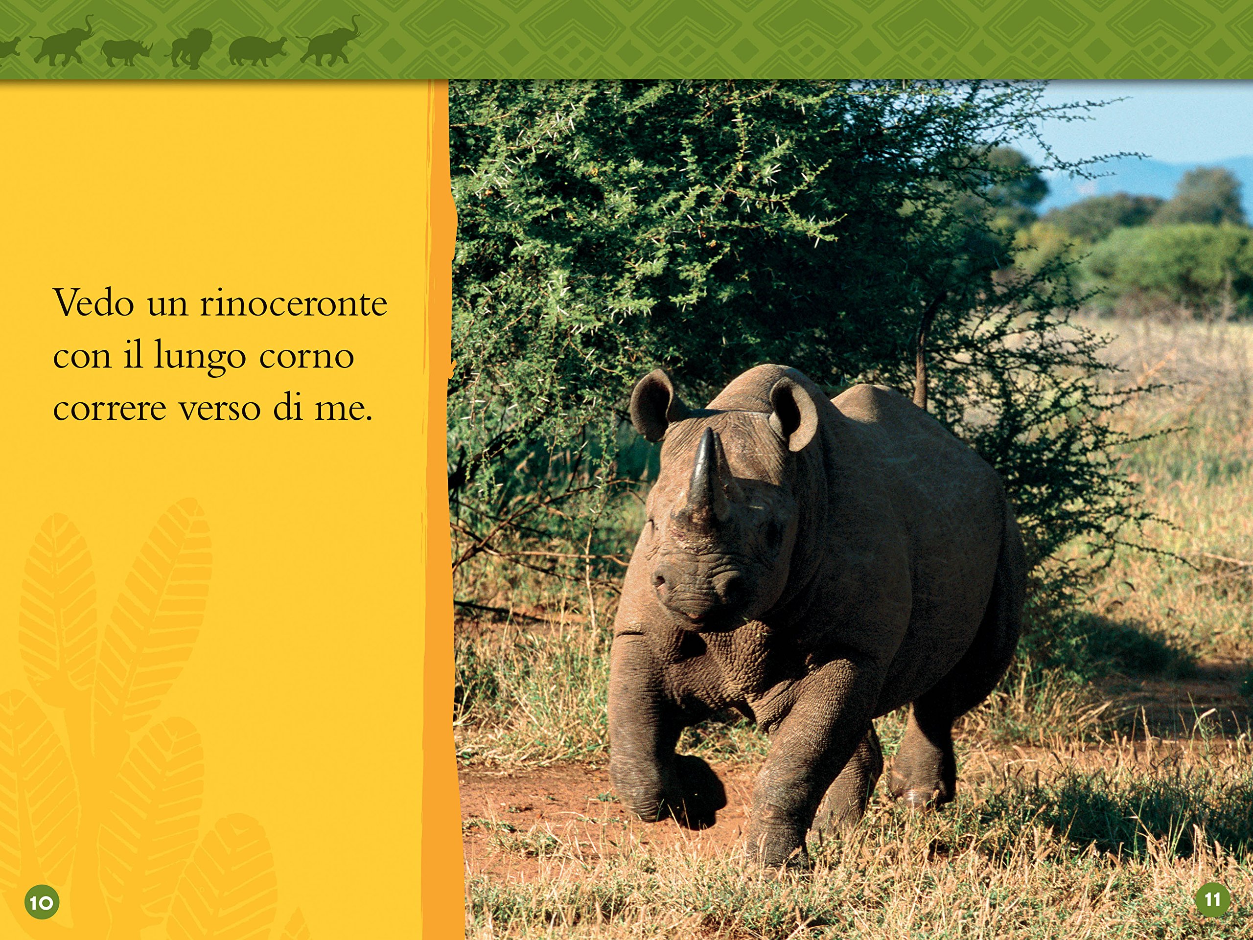 National Geographic Kids – Libri Nella savana. Primi passi libro edizione a colori