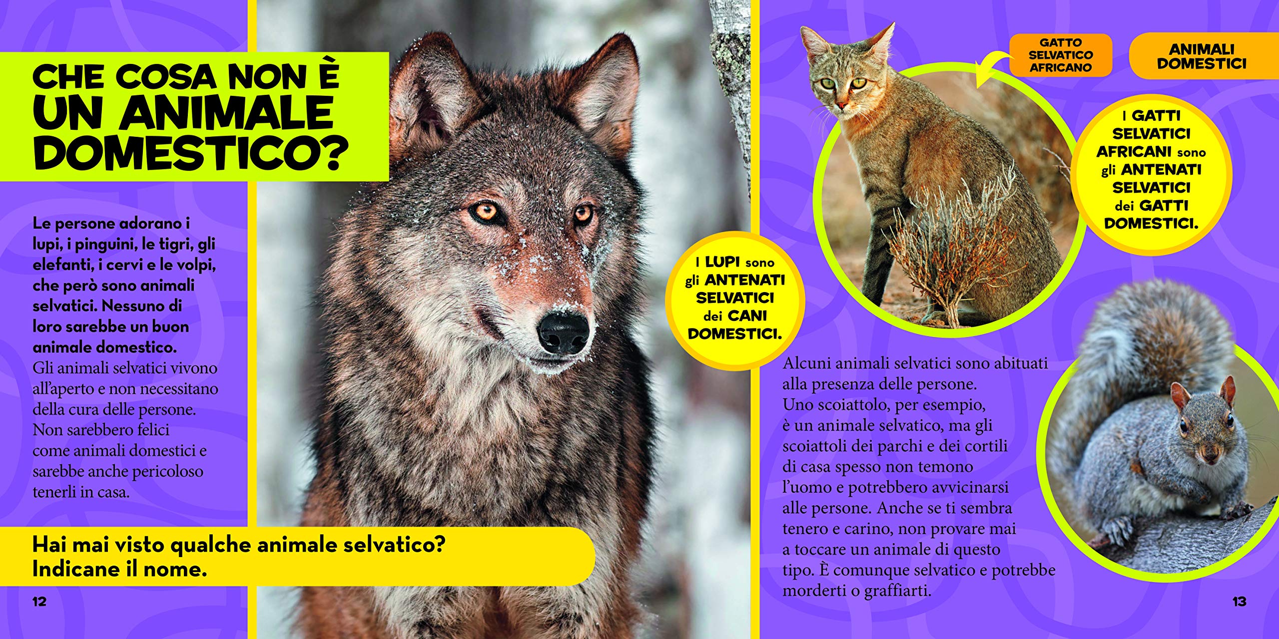 National Geographic Kids – Libri Il primo grande libro degli animali domestici