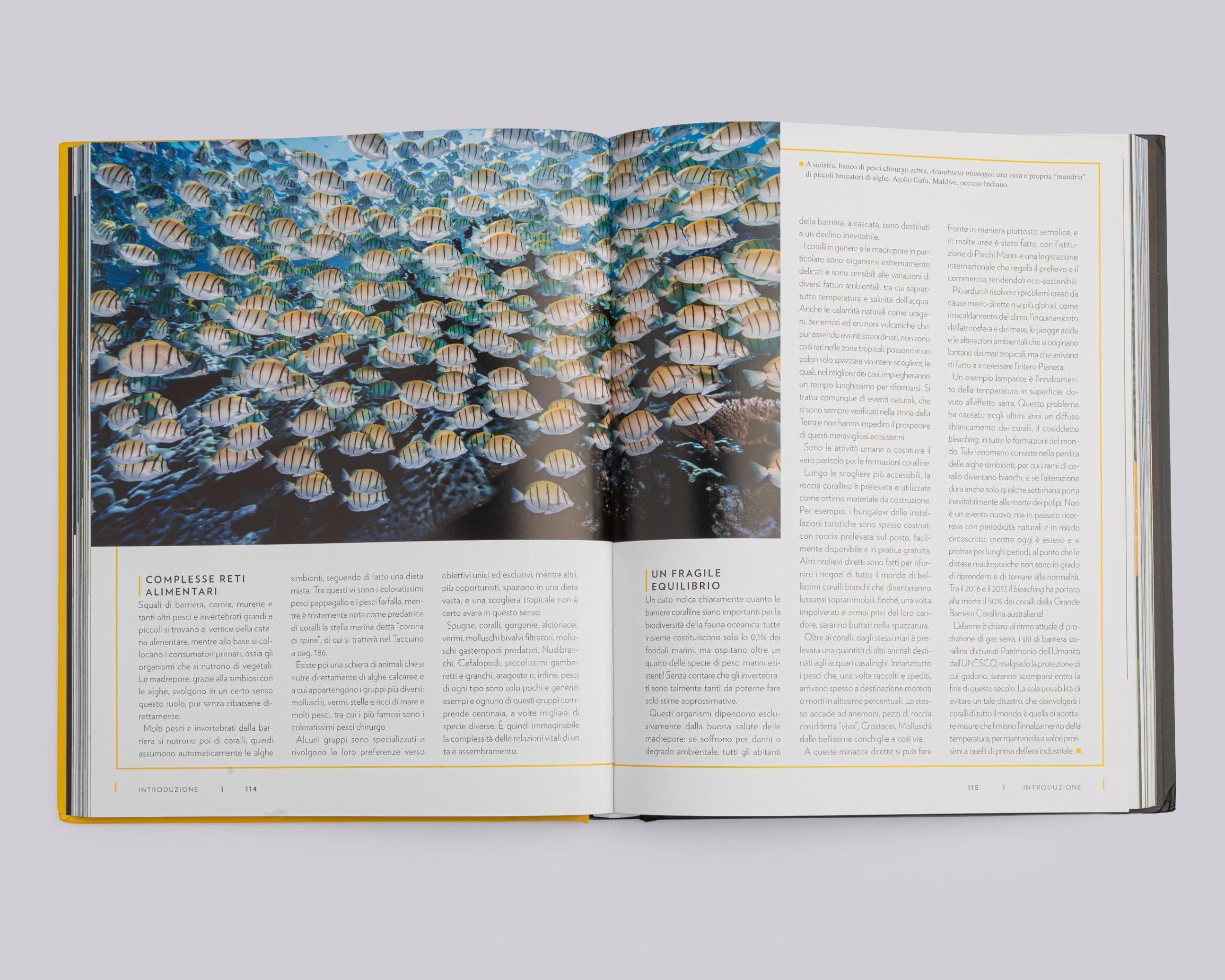 National Geographic Kids – Libri Mari e oceani. Pianeta vivente. Ediz. a colori libro