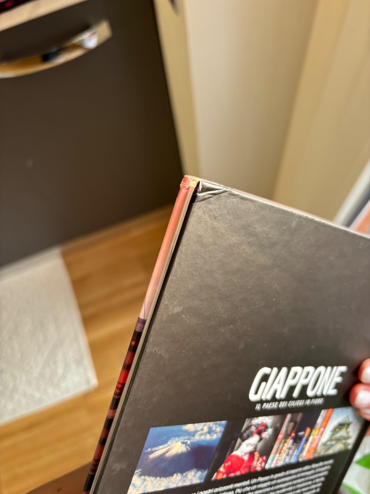 National Geographic – Libri Giappone Il Paese dei ciliegi in fiore libro illustrato