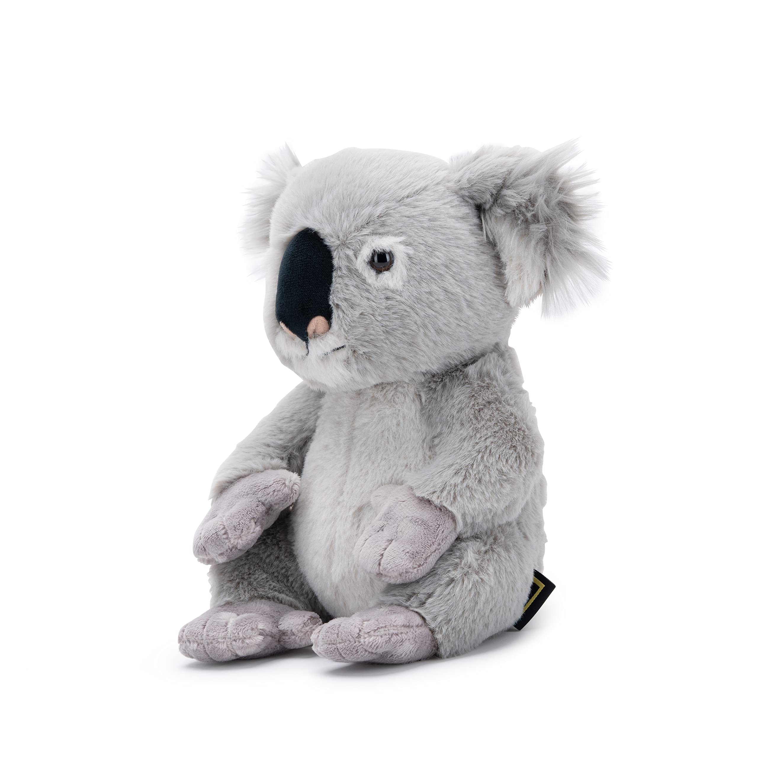 National Geographic Peluche e figurine Koala peluche 25 cm riciclato