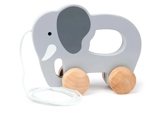 Hape Spingi e cammina Elefante da trainare elefante in legno dai 12 mesi