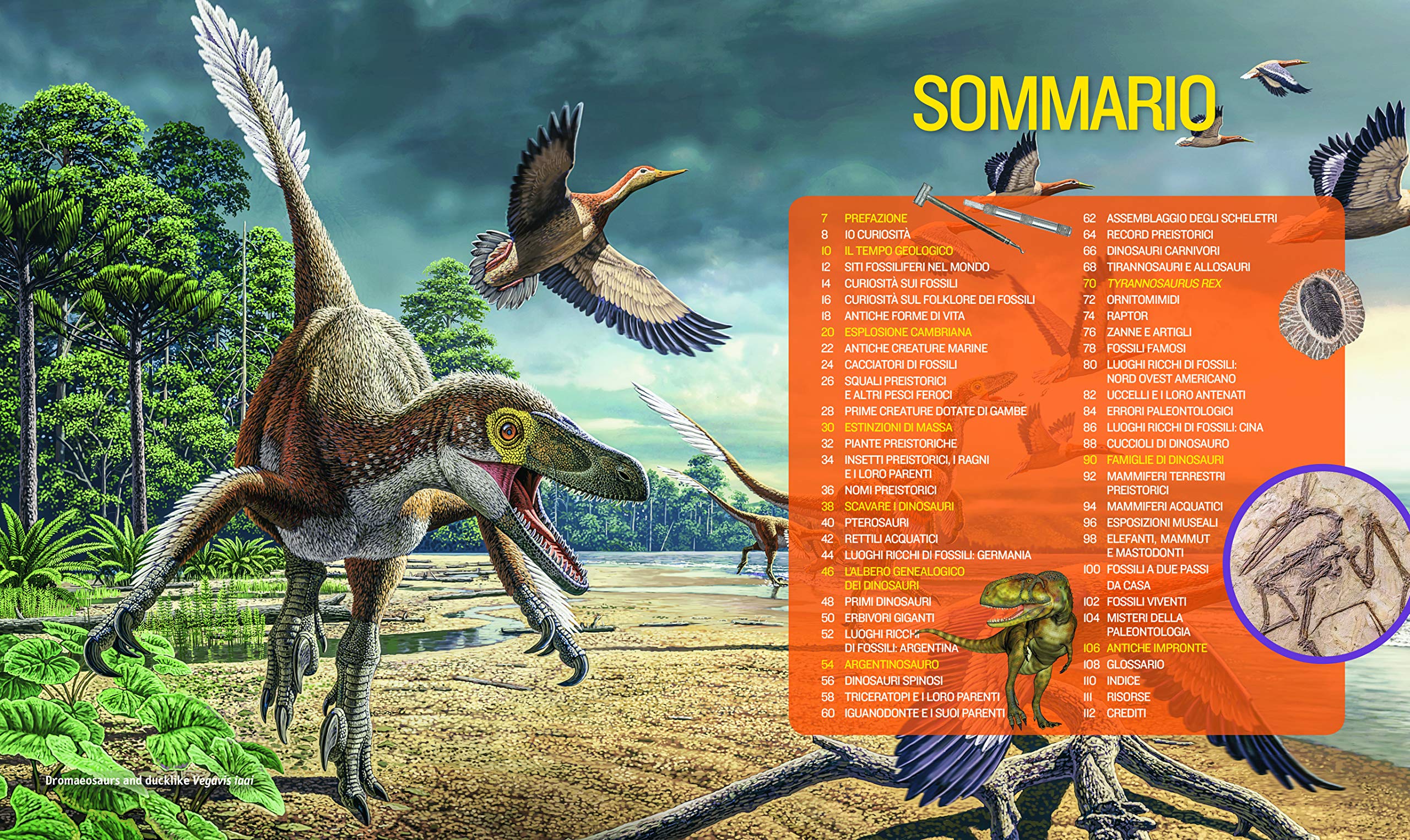 National Geographic Kids – Libri 1000 curiosità su dinosauri, fossili e vita preistorica libro