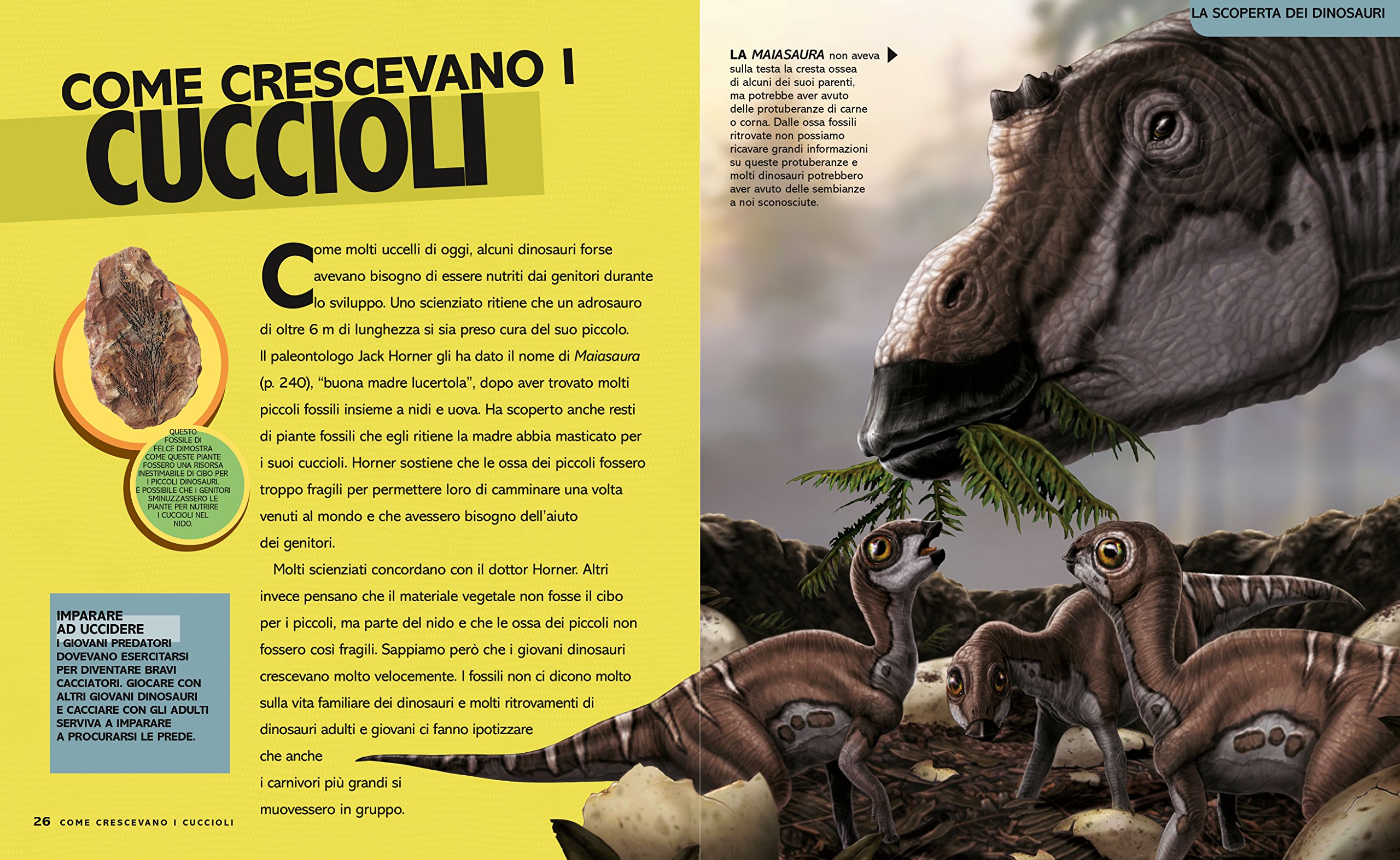 National Geographic National Geographic Kids – Libri Super dinopedia. Ediz. a colori: 1 libro