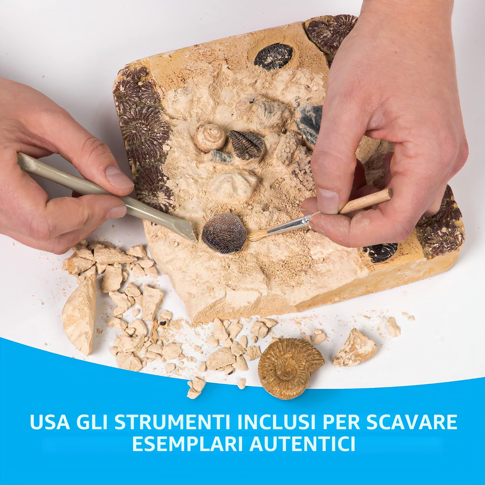 National Geographic Kit scientifici e di scoperta NGSUPERFOS kit di scavo fossili 15 fossili