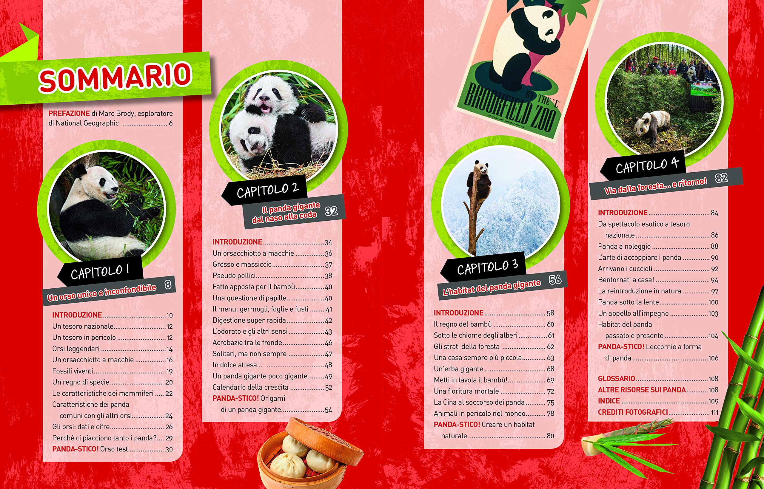National Geographic Kids – Libri Panda Absolute expert libro