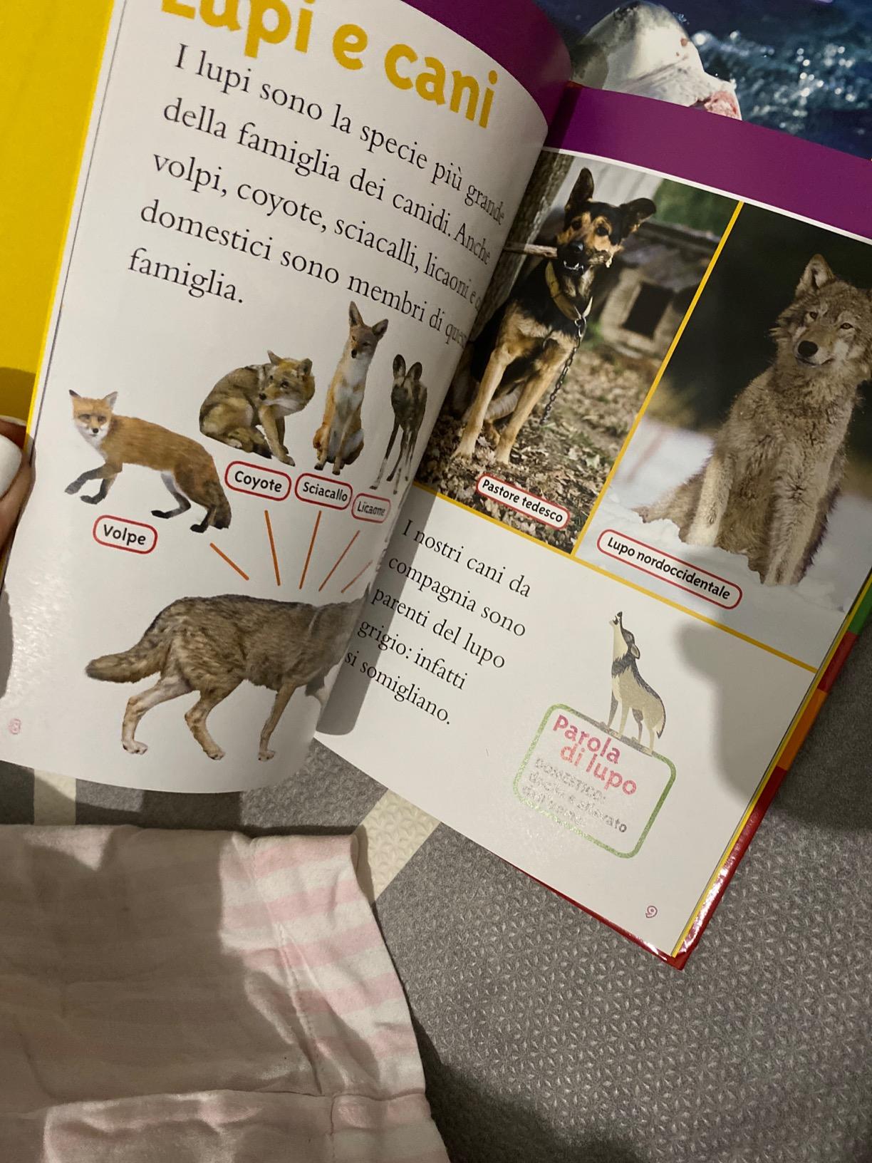 National Geographic Kids – Libri Lupi. Livello 3. Ediz. a colori libro illustrato