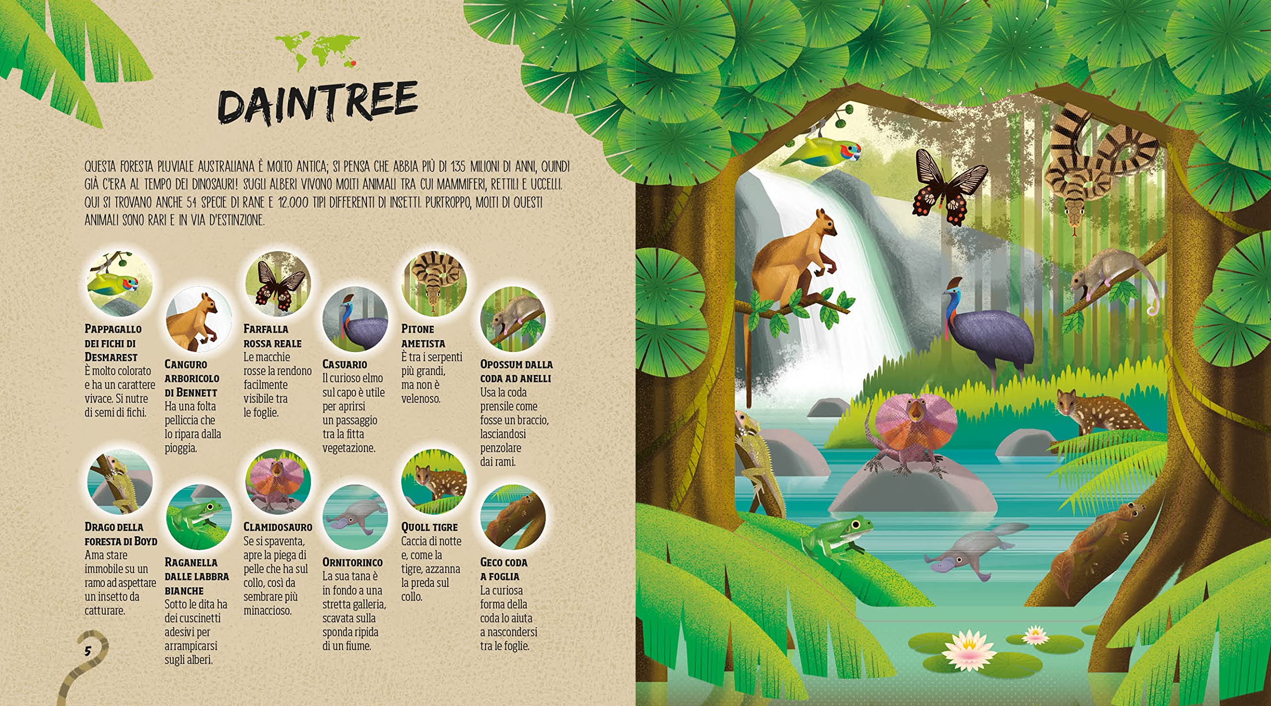National Geographic Kids Nascosti nella giungla libro cerca animali con torcia magica