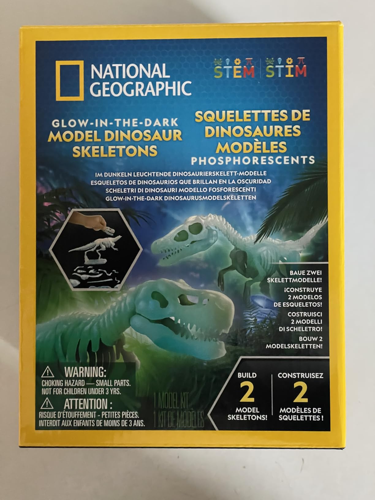 National Geographic Kit scientifici e di scoperta Scheletri Dinosauri Glow in the Dark kit fosforescente