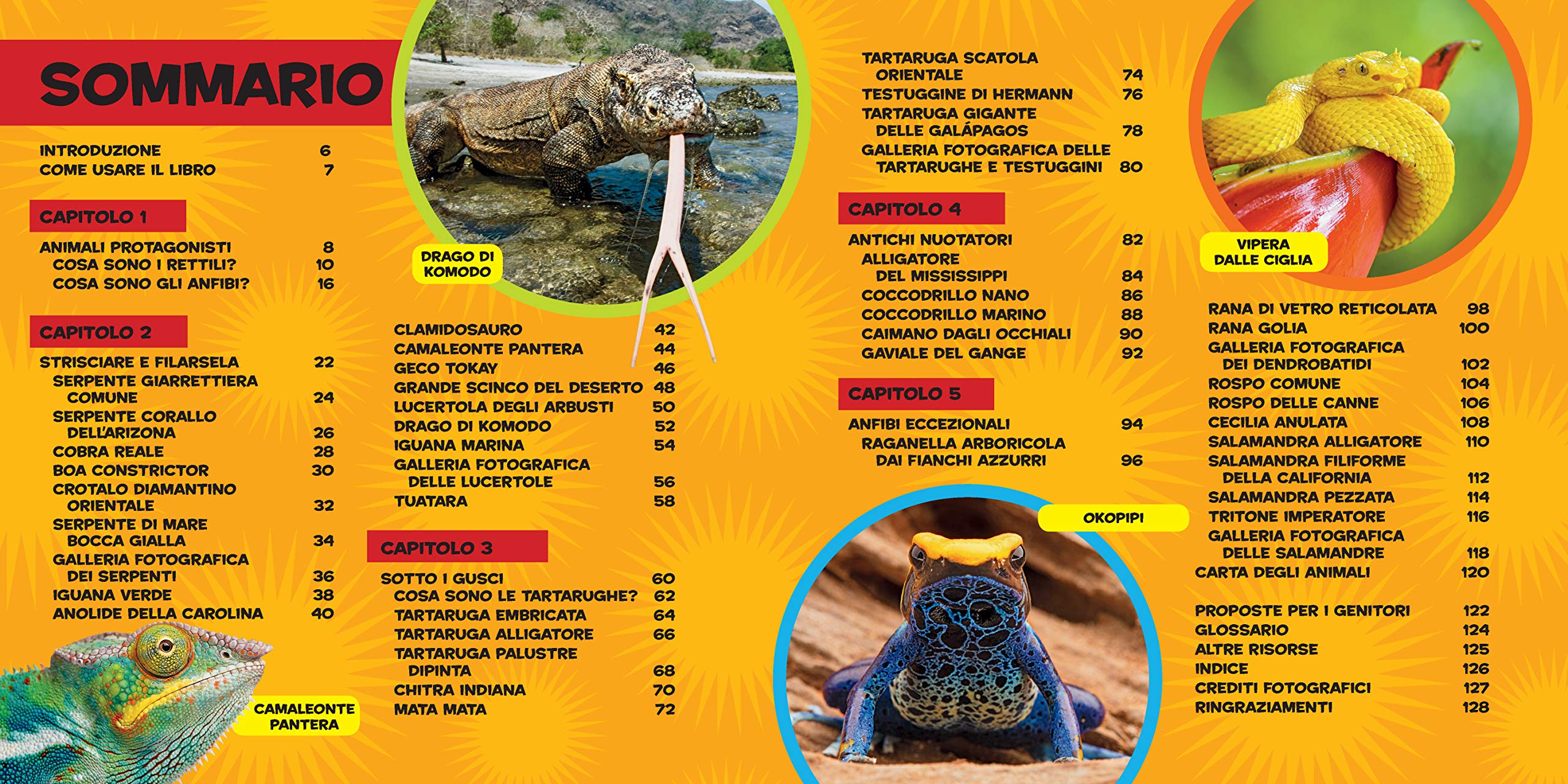 National Geographic Kids – Libri Il primo grande libro dei rettili e degli anfibi