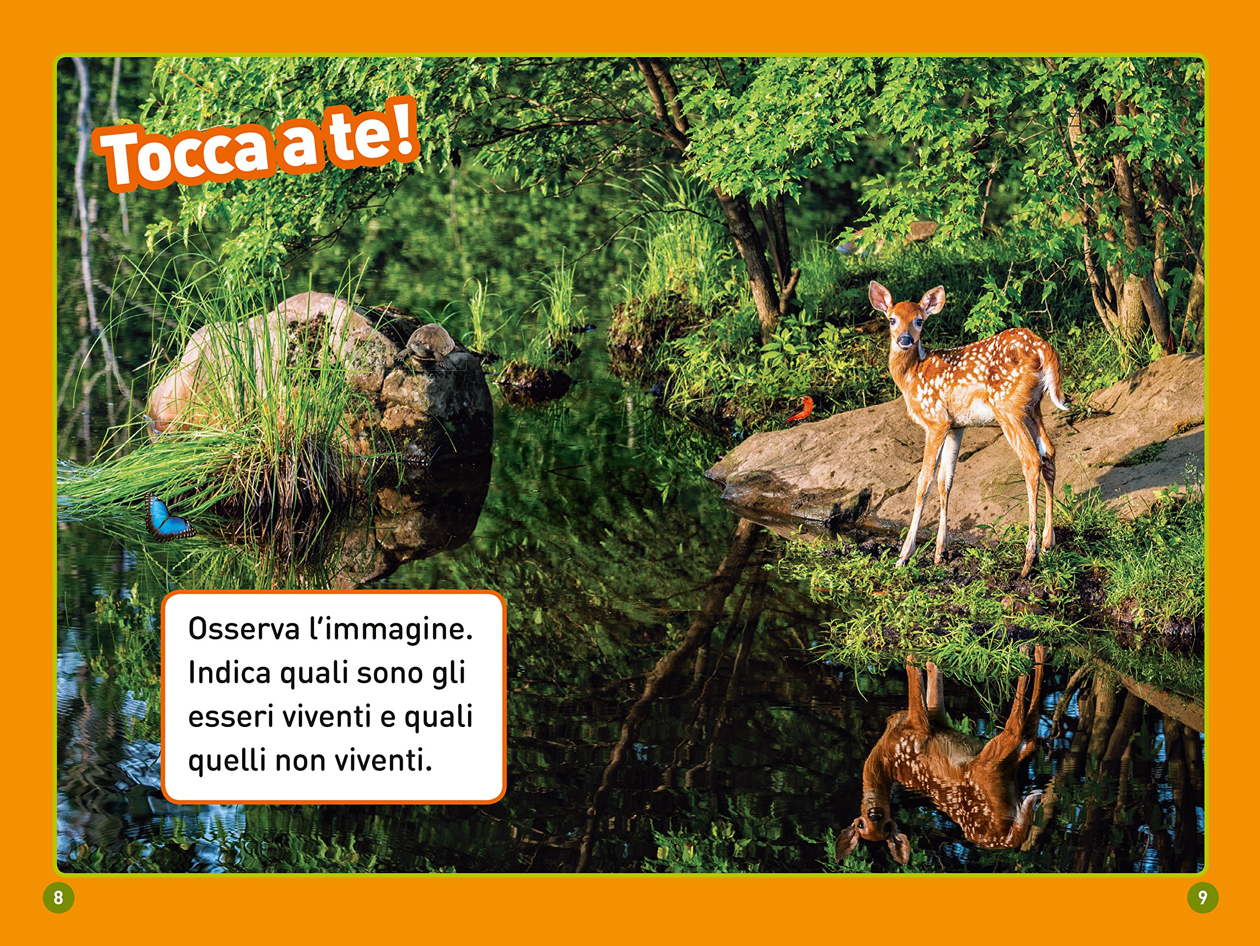 National Geographic Kids Nella foresta Livello 1 libro per bambini