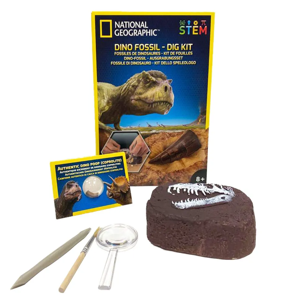 National Geographic Kit scientifici e di scoperta Kit Scavare 3 Insetti