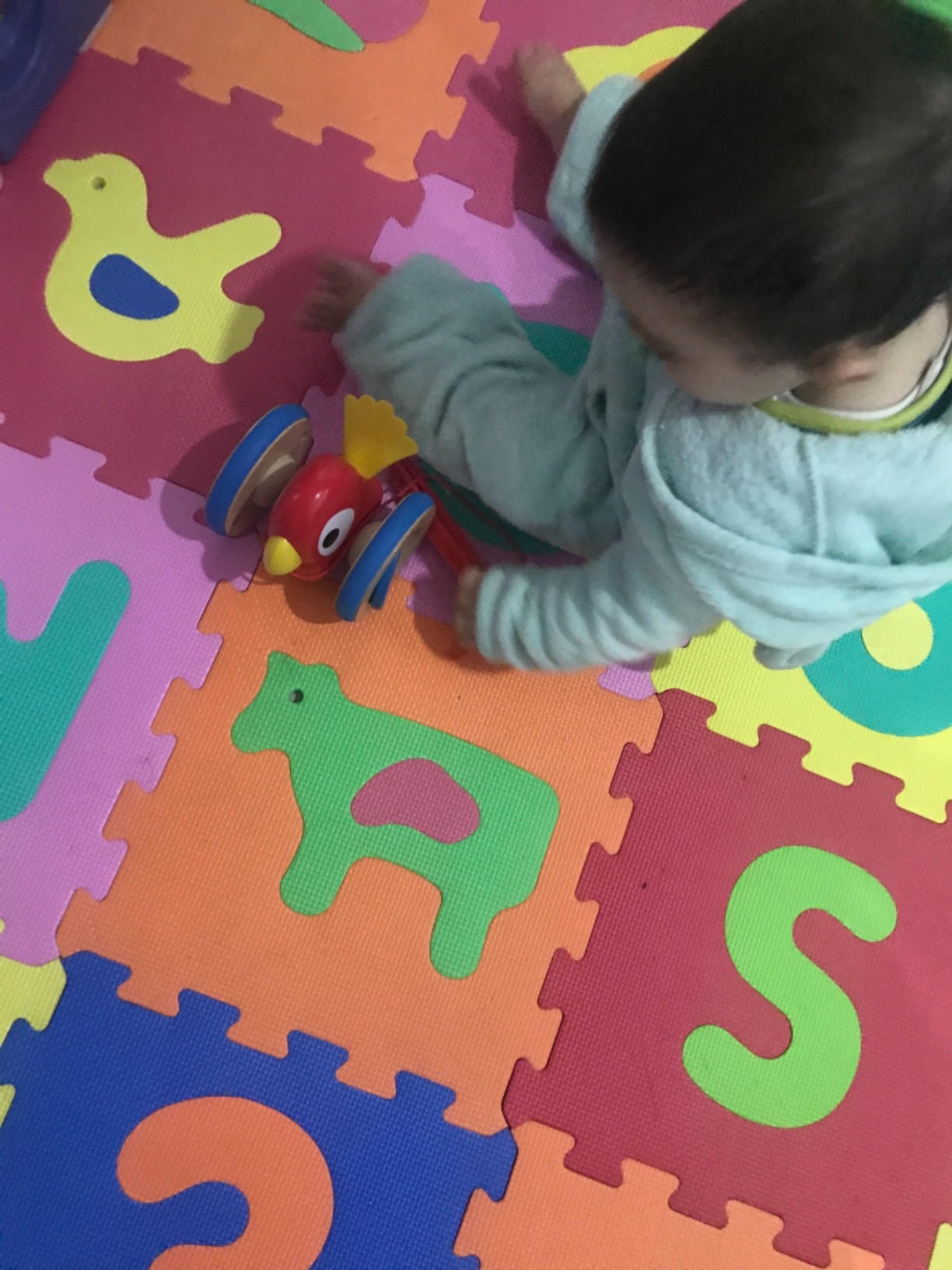 Hape Spingi e cammina Uccellino Trainabile E0360 gioco in legno dai 12 mesi