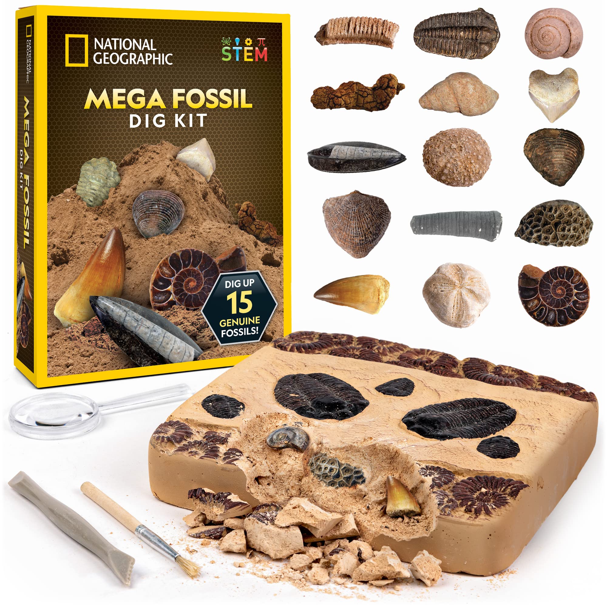 National Geographic Kit scientifici e di scoperta NGSUPERFOS kit di scavo fossili 15 fossili