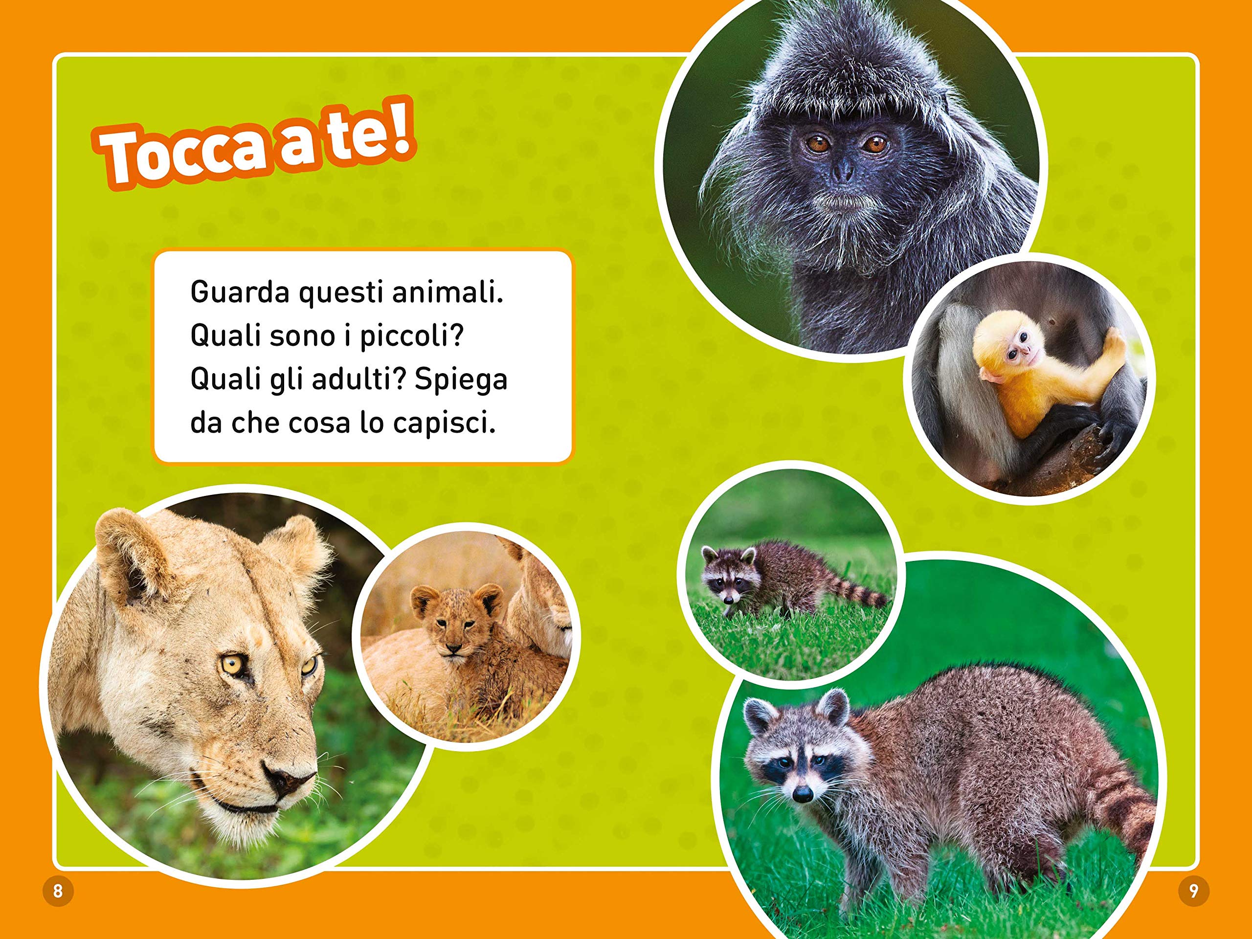National Geographic Kids – Libri Da girino a rana. Come si trasformano gli animali. Livello 1. Diventa un super lettore libro a colori