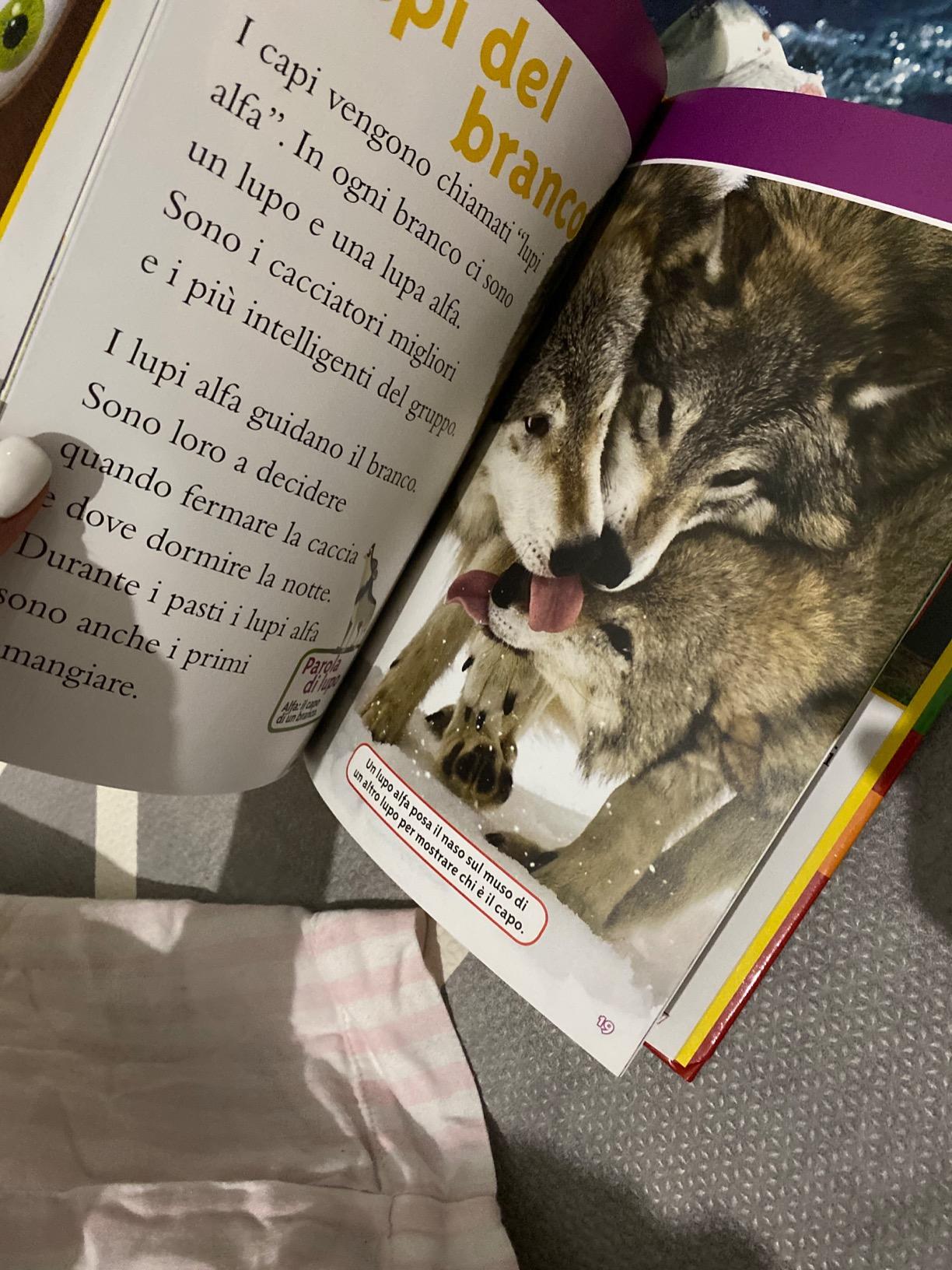 National Geographic Kids – Libri Lupi. Livello 3. Ediz. a colori libro illustrato
