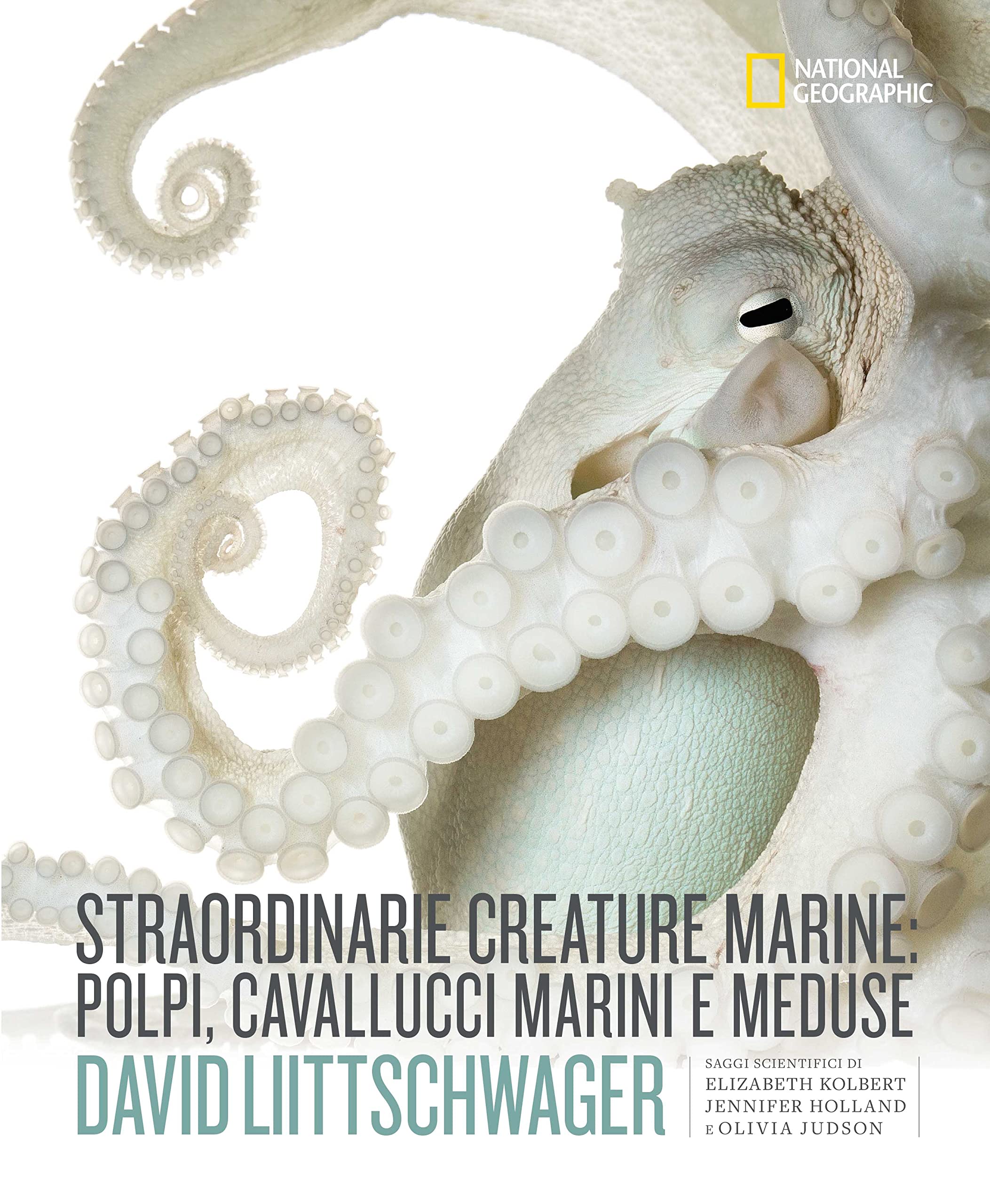 National Geographic Libri Straordinarie creature marine libro a colori