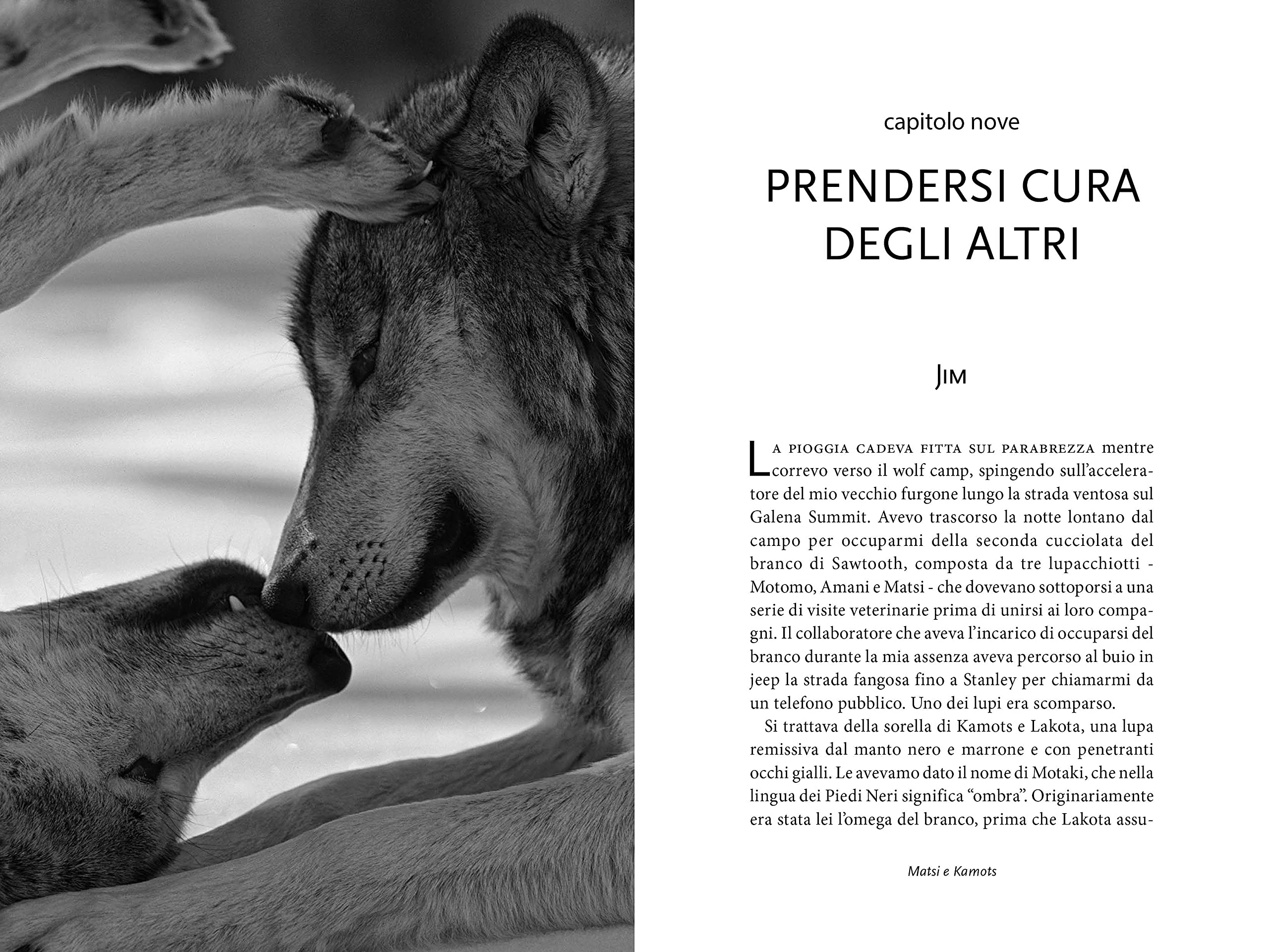 National Geographic Lupi Storie di saggezza libro illustrato
